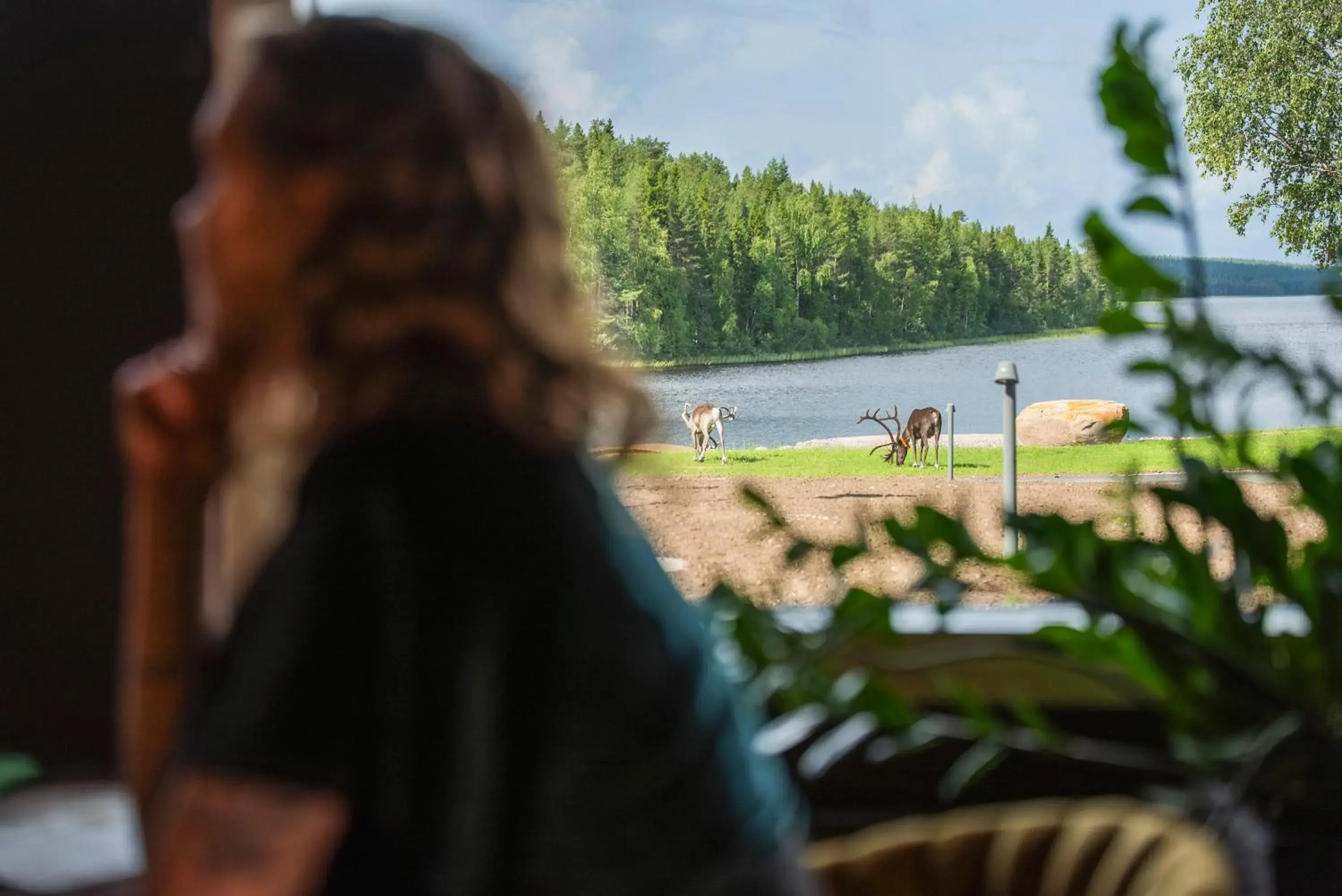 Restaurant/places to eat in Aito Igloo & Spa Resort Restaurant/places to eat in Aito Igloo & Spa Resort