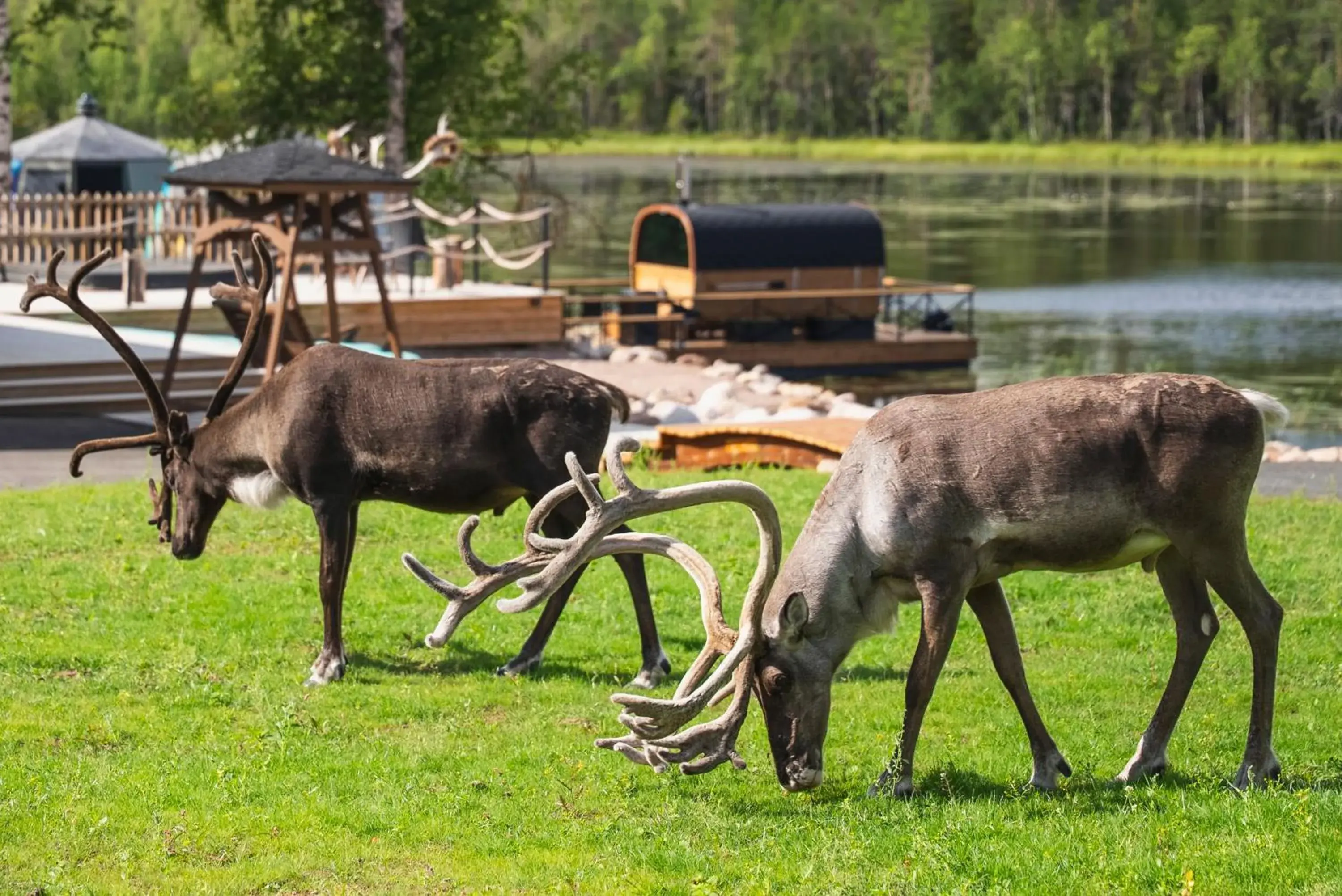 Restaurant/places to eat in Aito Igloo & Spa Resort Restaurant/places to eat in Aito Igloo & Spa Resort