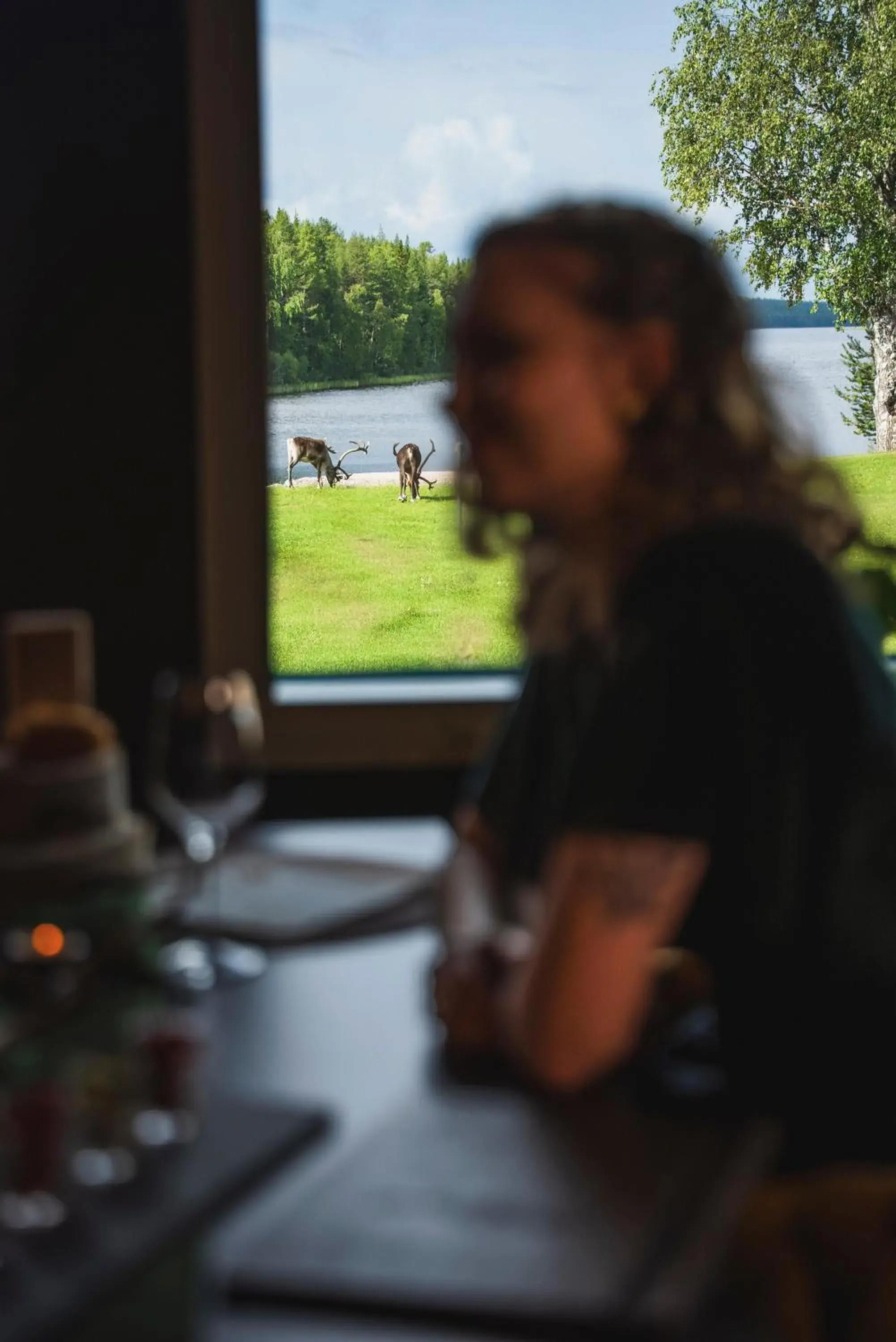 Restaurant/places to eat in Aito Igloo & Spa Resort Restaurant/places to eat in Aito Igloo & Spa Resort