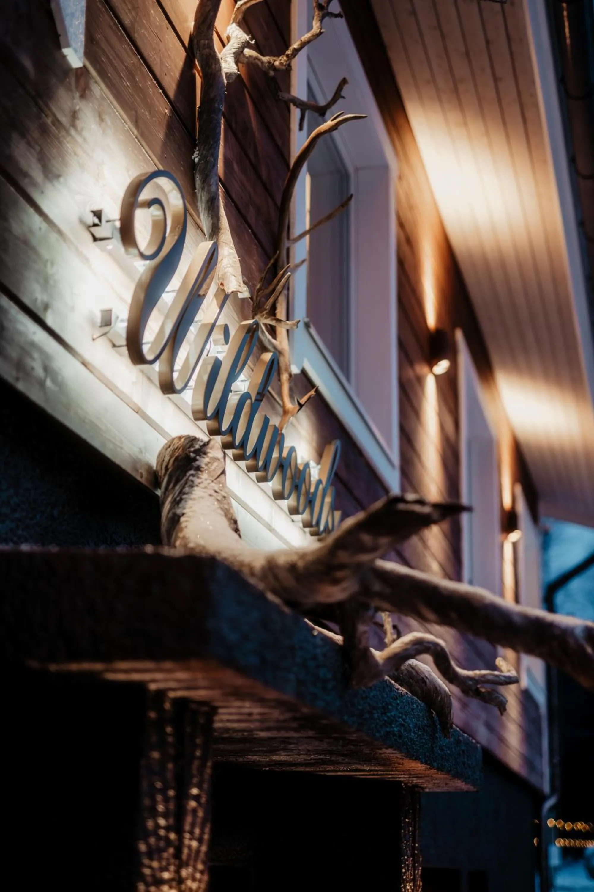 Restaurant/places to eat in Aito Igloo & Spa Resort