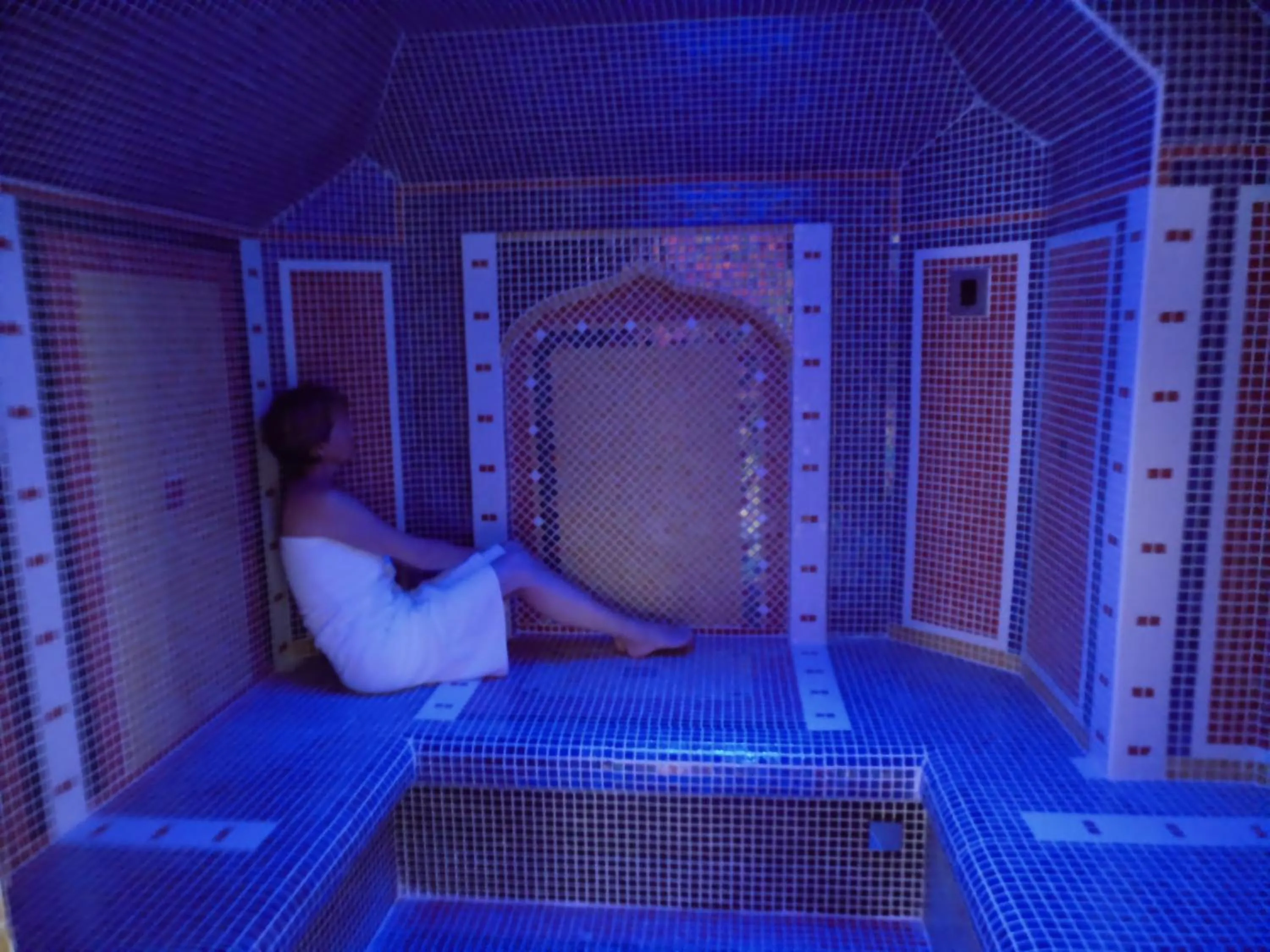 Sauna in Hotel La Font Vineuse & Spa