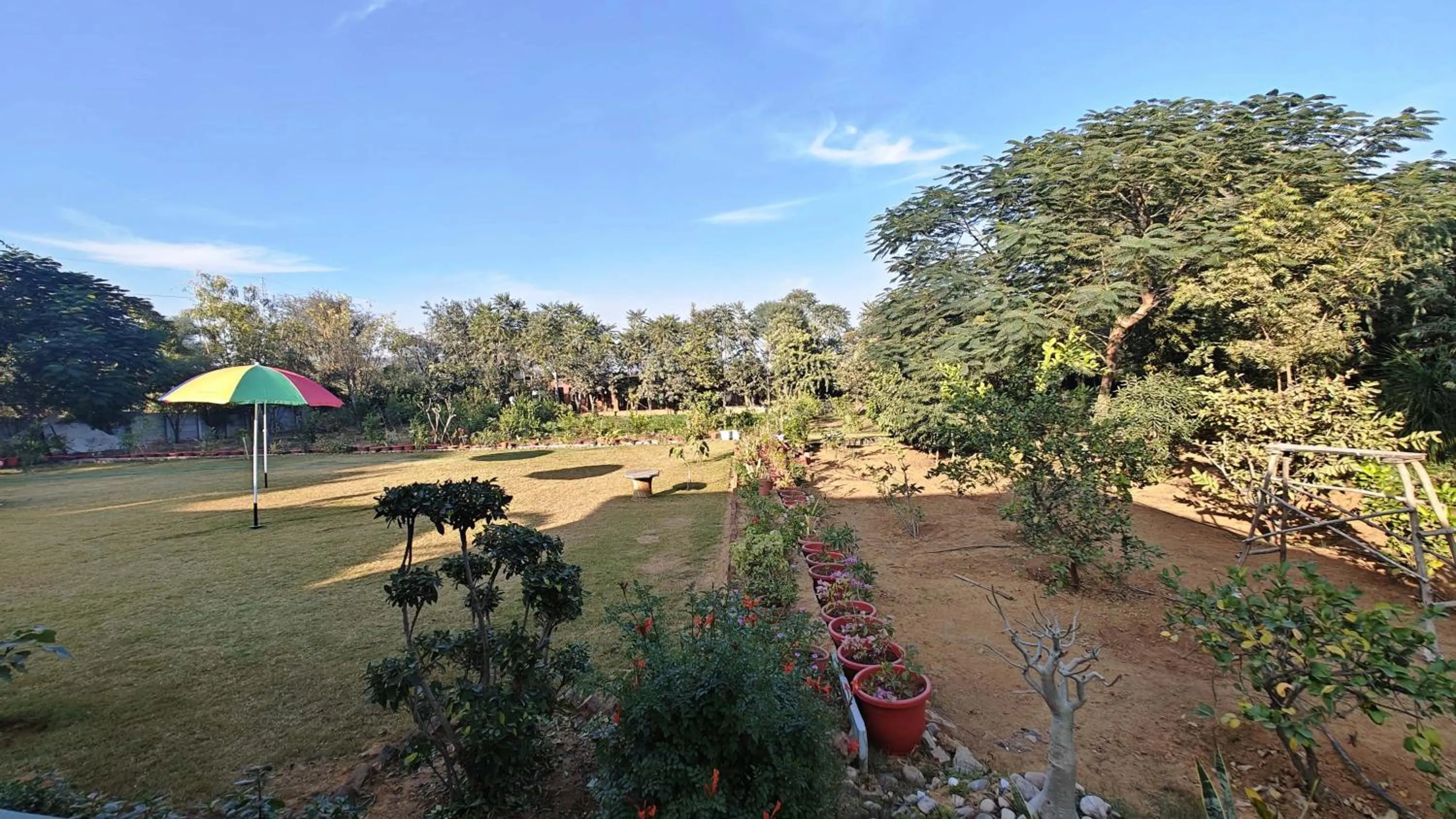 Garden in GiriSadan Organic Retreat & Experiences