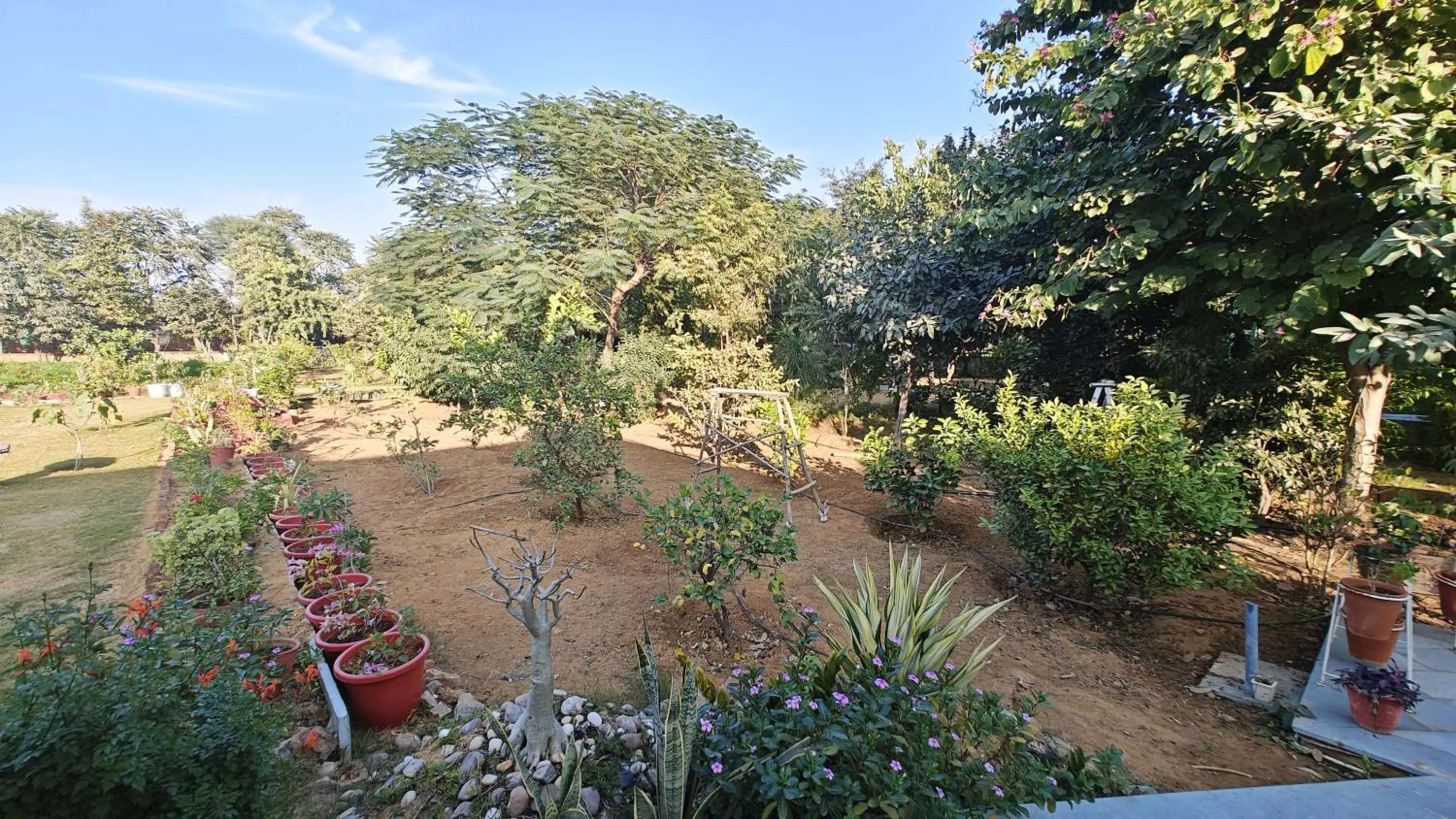 Garden in GiriSadan Organic Retreat & Experiences