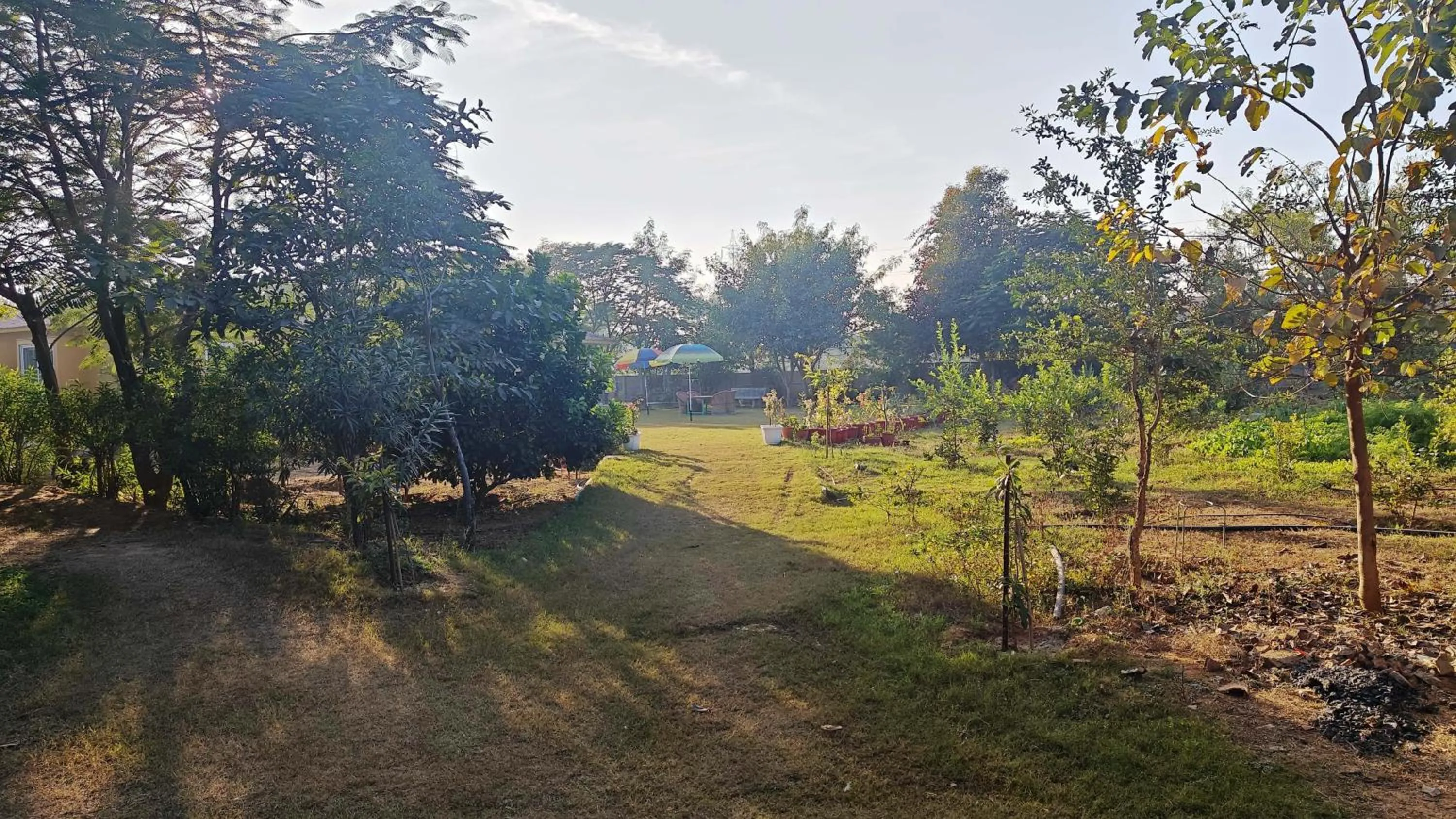 Spring in GiriSadan Organic Retreat & Experiences