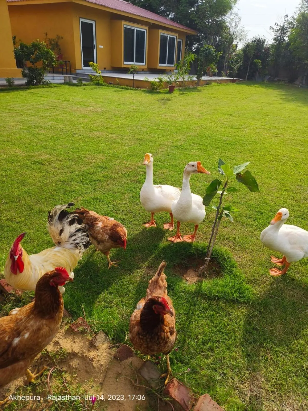 Day in GiriSadan Organic Retreat & Experiences