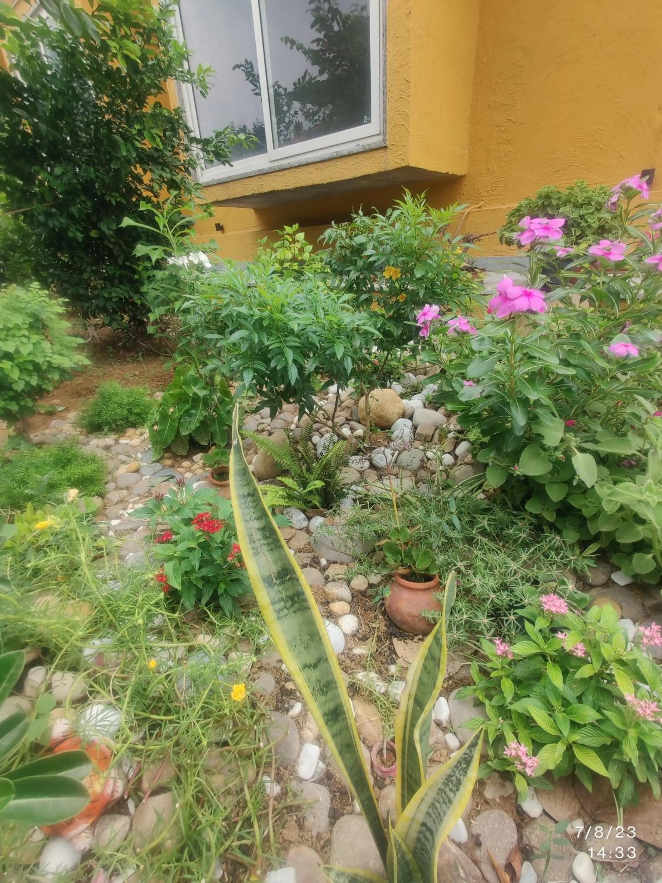Spring in GiriSadan Organic Retreat & Experiences