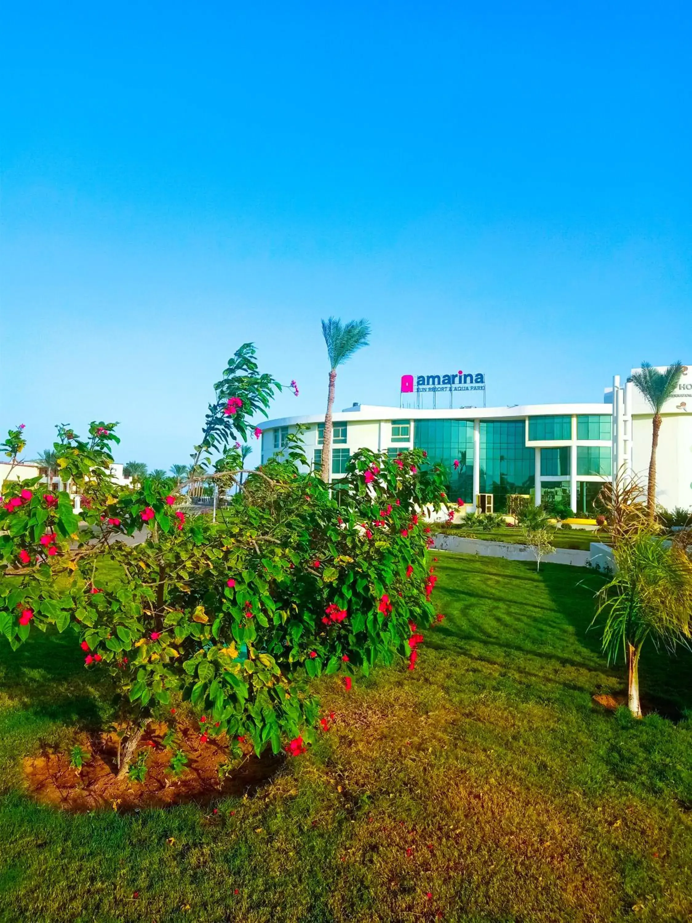 Facade/entrance in Amarina Sun Resort & Aqua Park Sharm El-Sheikh Facade/entrance in Amarina Sun Resort & Aqua Park Sharm El-Sheikh