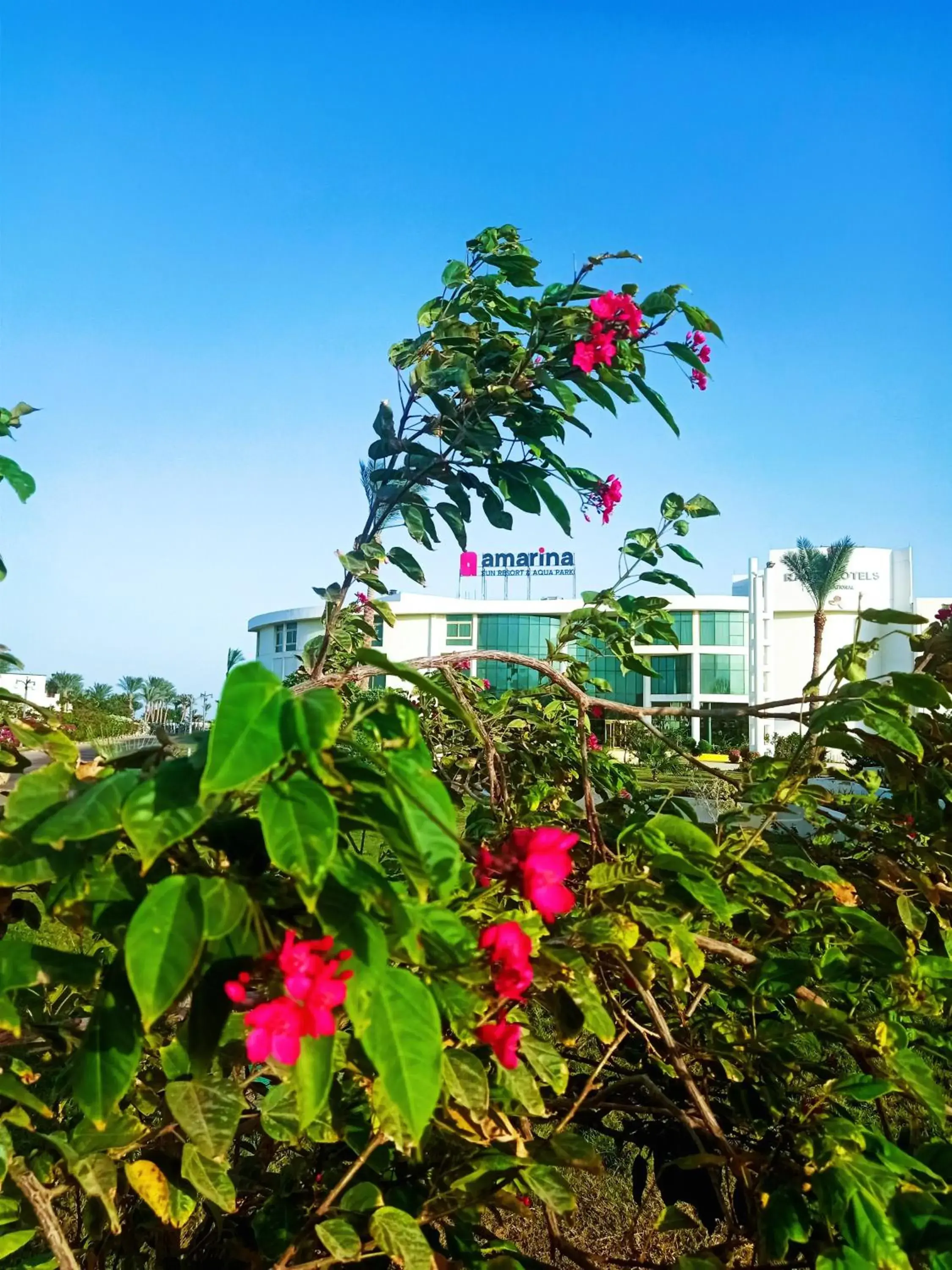 Facade/entrance in Amarina Sun Resort & Aqua Park Sharm El-Sheikh Facade/entrance in Amarina Sun Resort & Aqua Park Sharm El-Sheikh