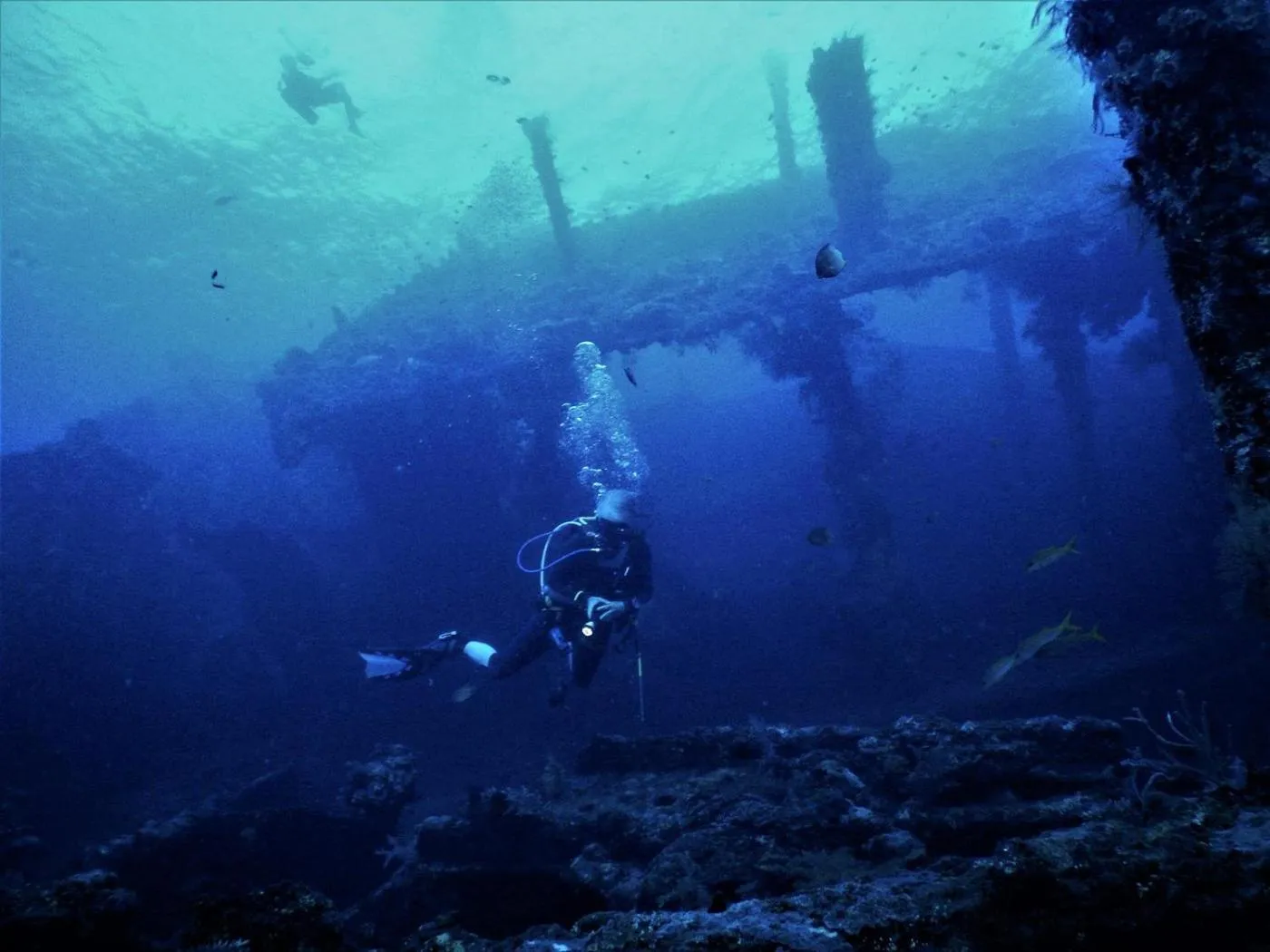 Keramas Moonlight Villa