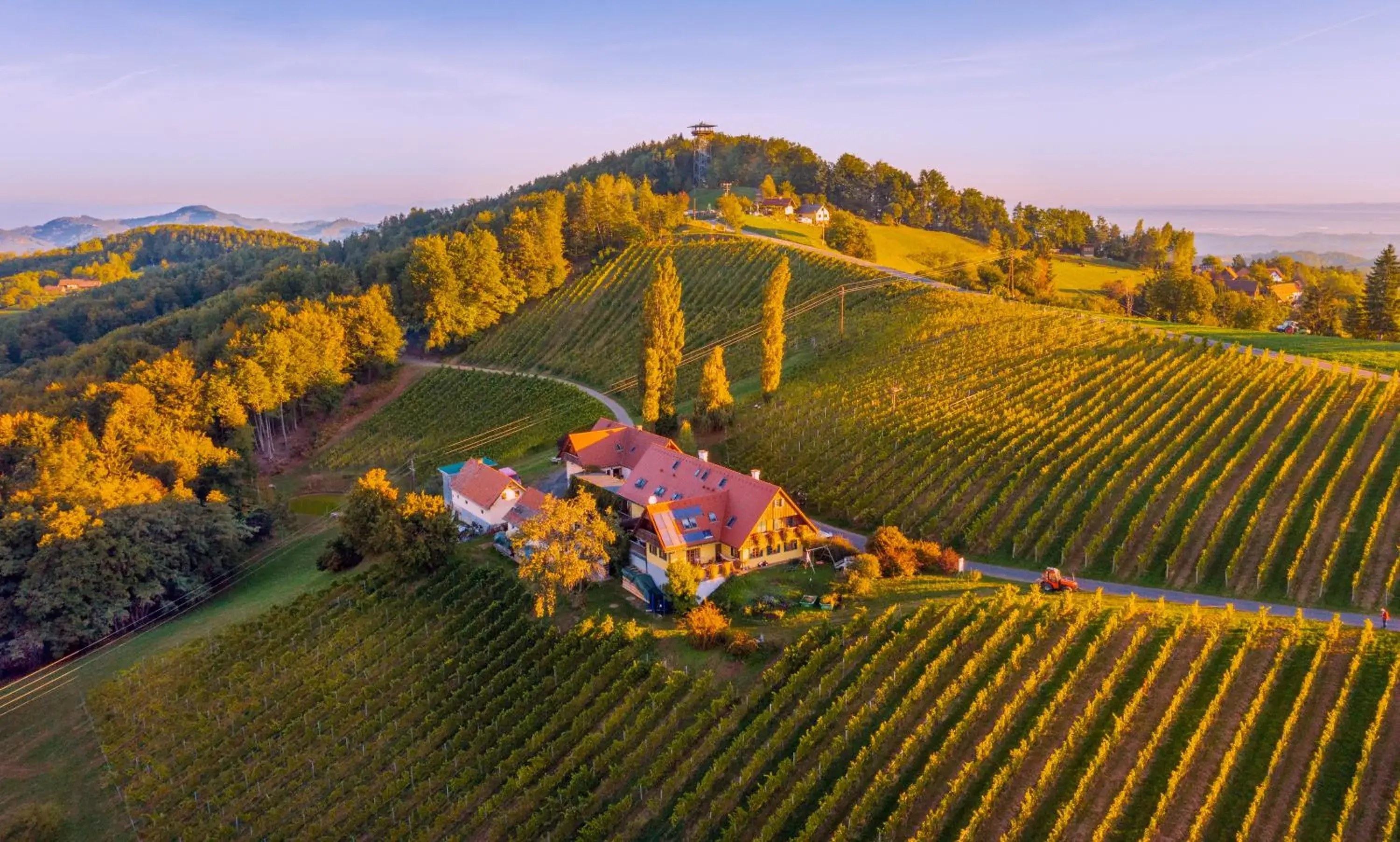 Weingut Winzerzimmer Rothschädl Weingut Winzerzimmer Rothschädl