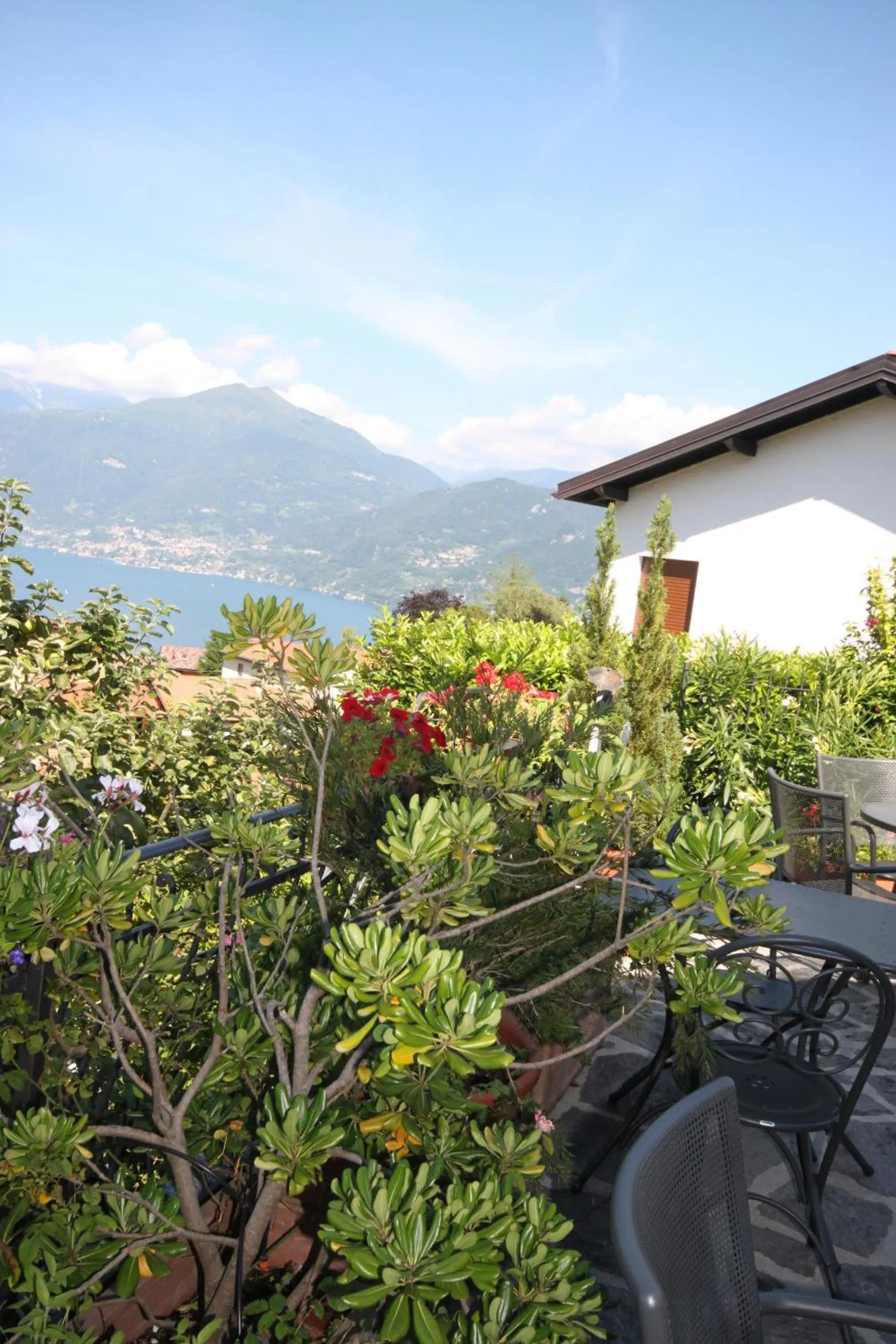 Patio in Balcone Fiorito