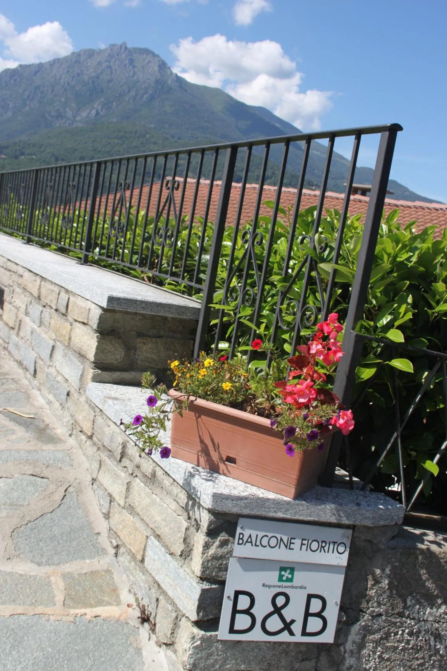 Day in Balcone Fiorito