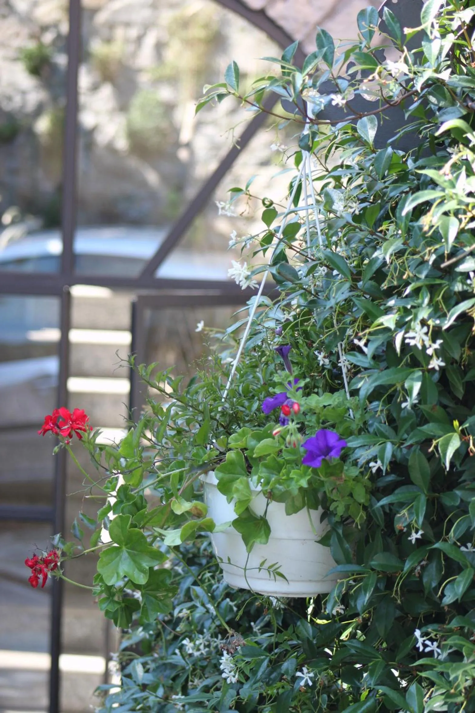 Other in Balcone Fiorito