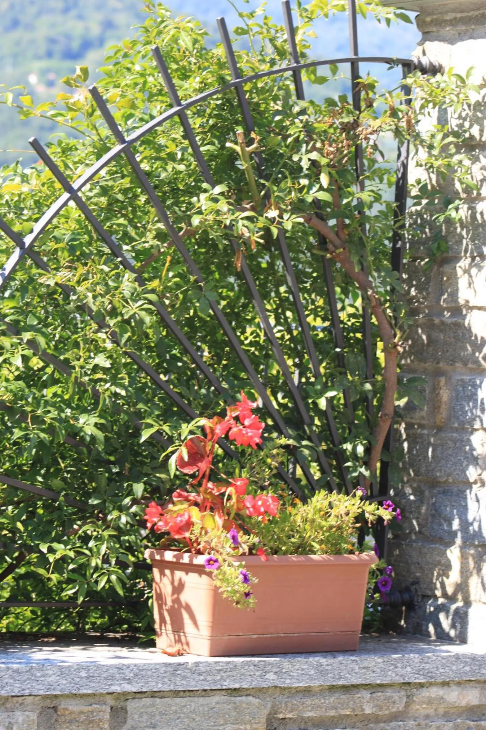 Day in Balcone Fiorito