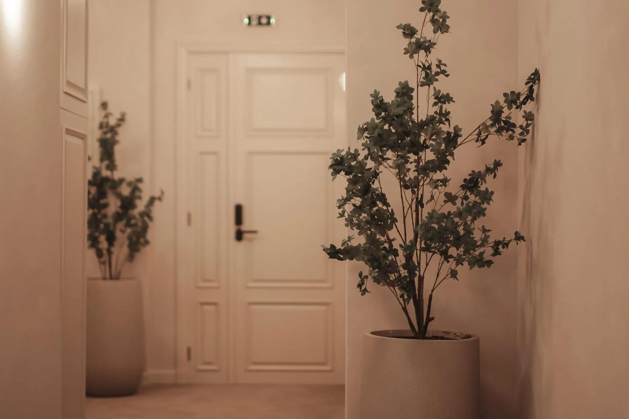 hair dresser in Zenith Premium Suites