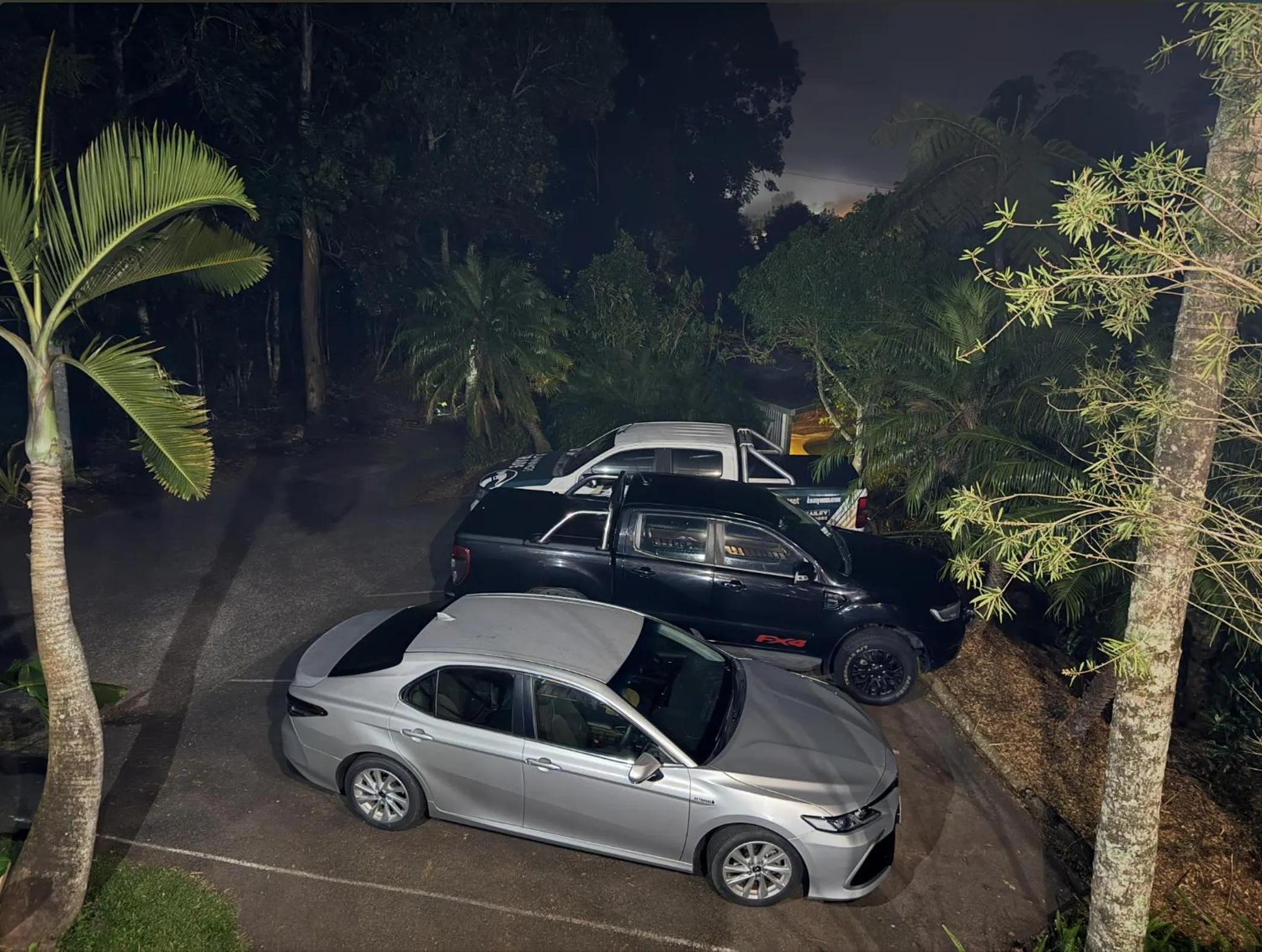 Natural landscape in Atherton Blue Gum