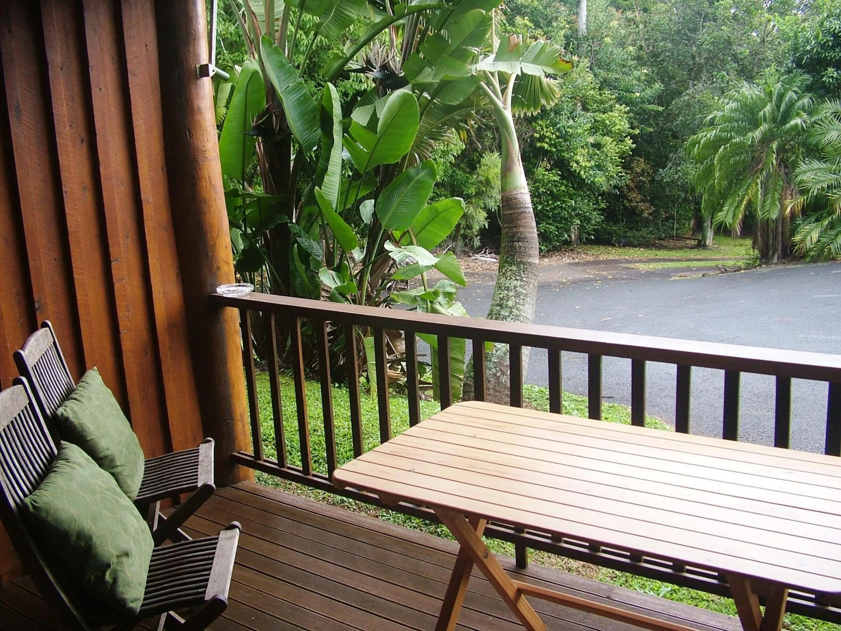 Garden in Atherton Blue Gum
