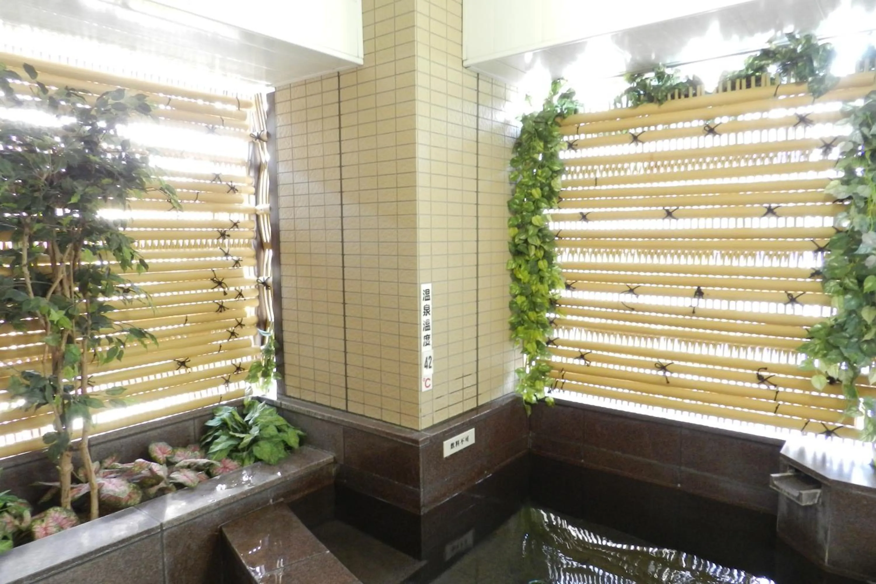 Hot Spring Bath in Hotel Sambancho