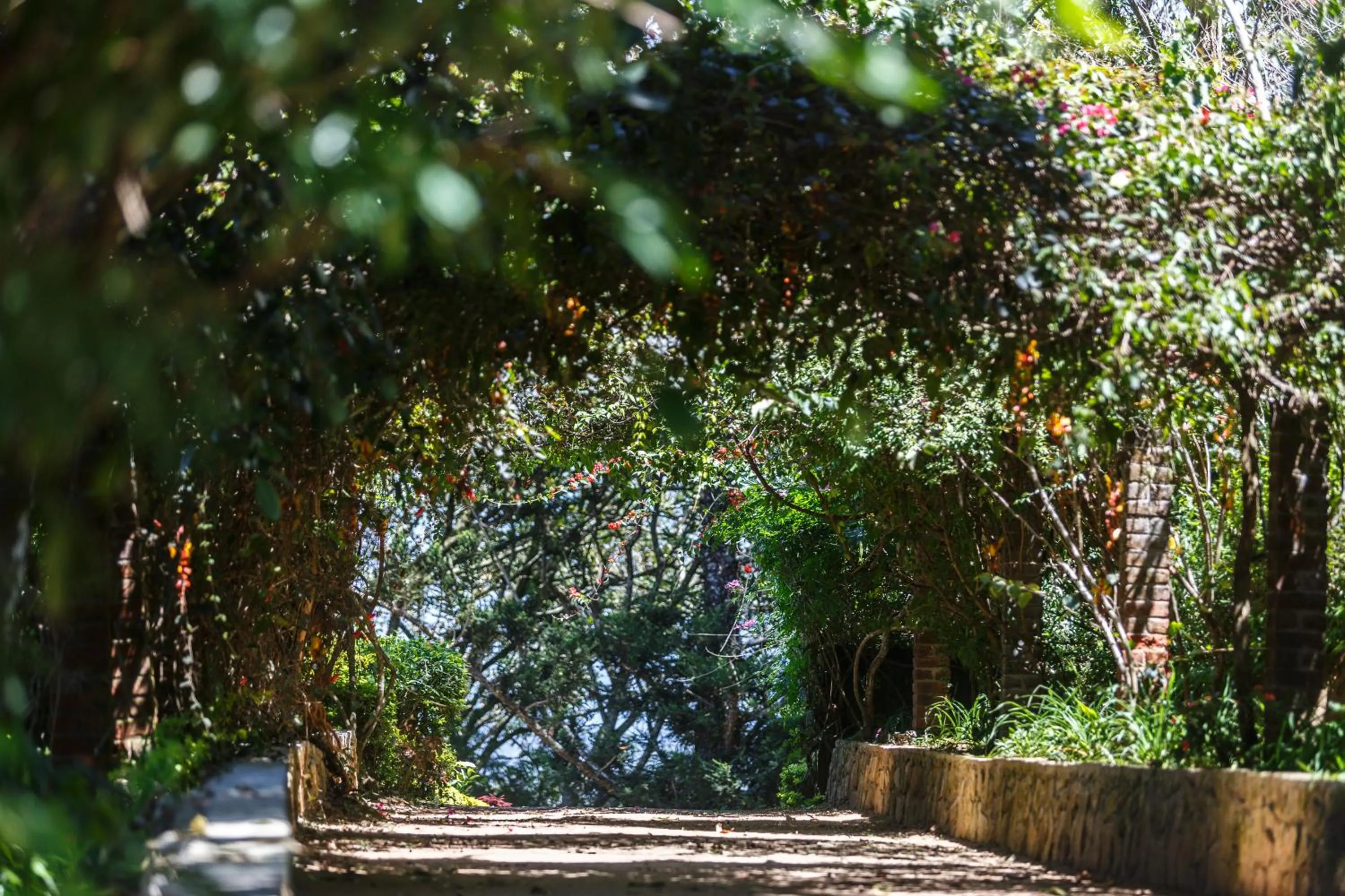Garden in Dutch House Bandarawela