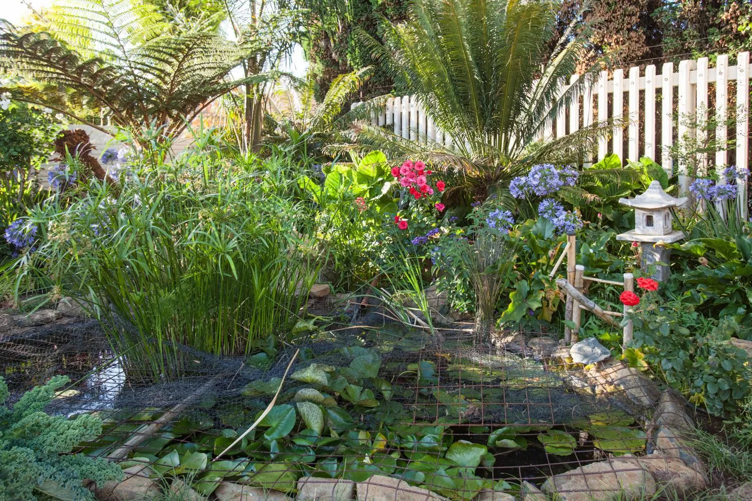 Garden in Touraco Guesthouse