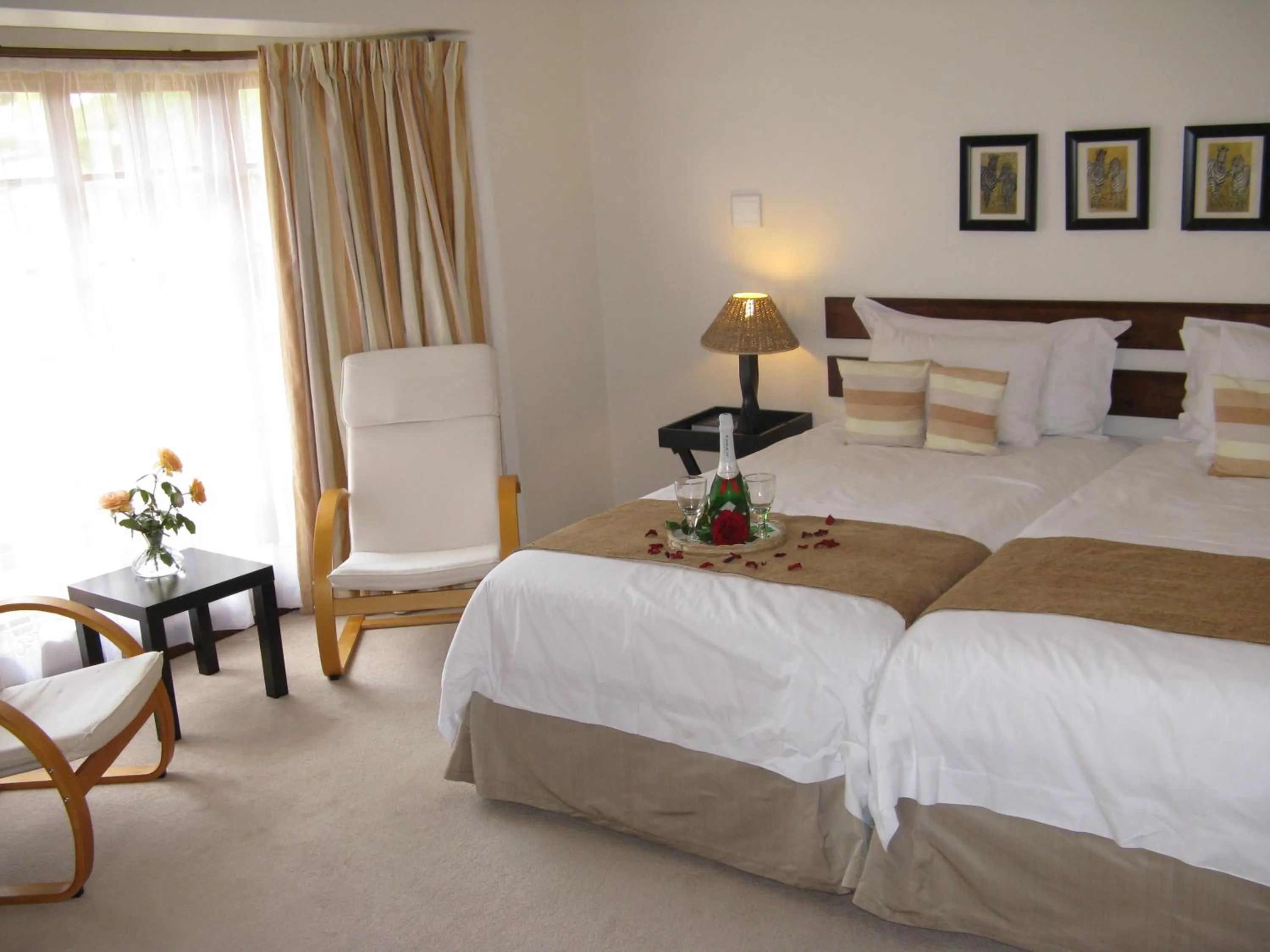 Seating area in Touraco Guesthouse