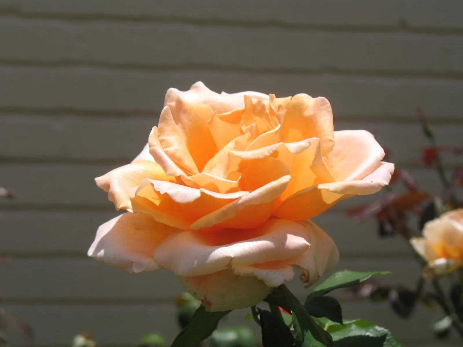 Natural landscape in Touraco Guesthouse
