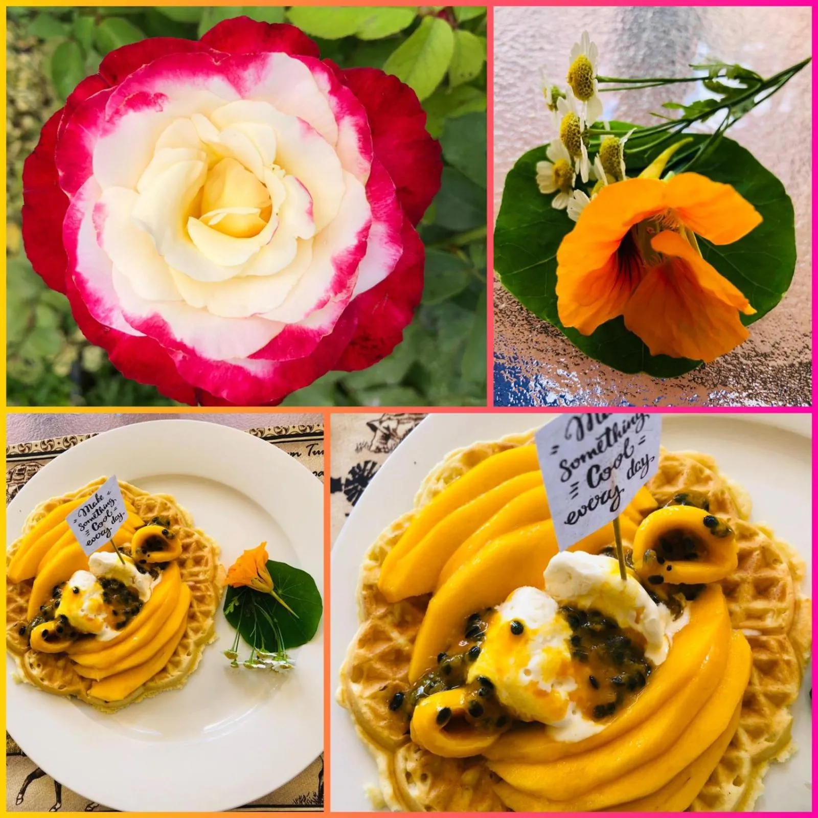 Restaurant/places to eat in Touraco Guesthouse