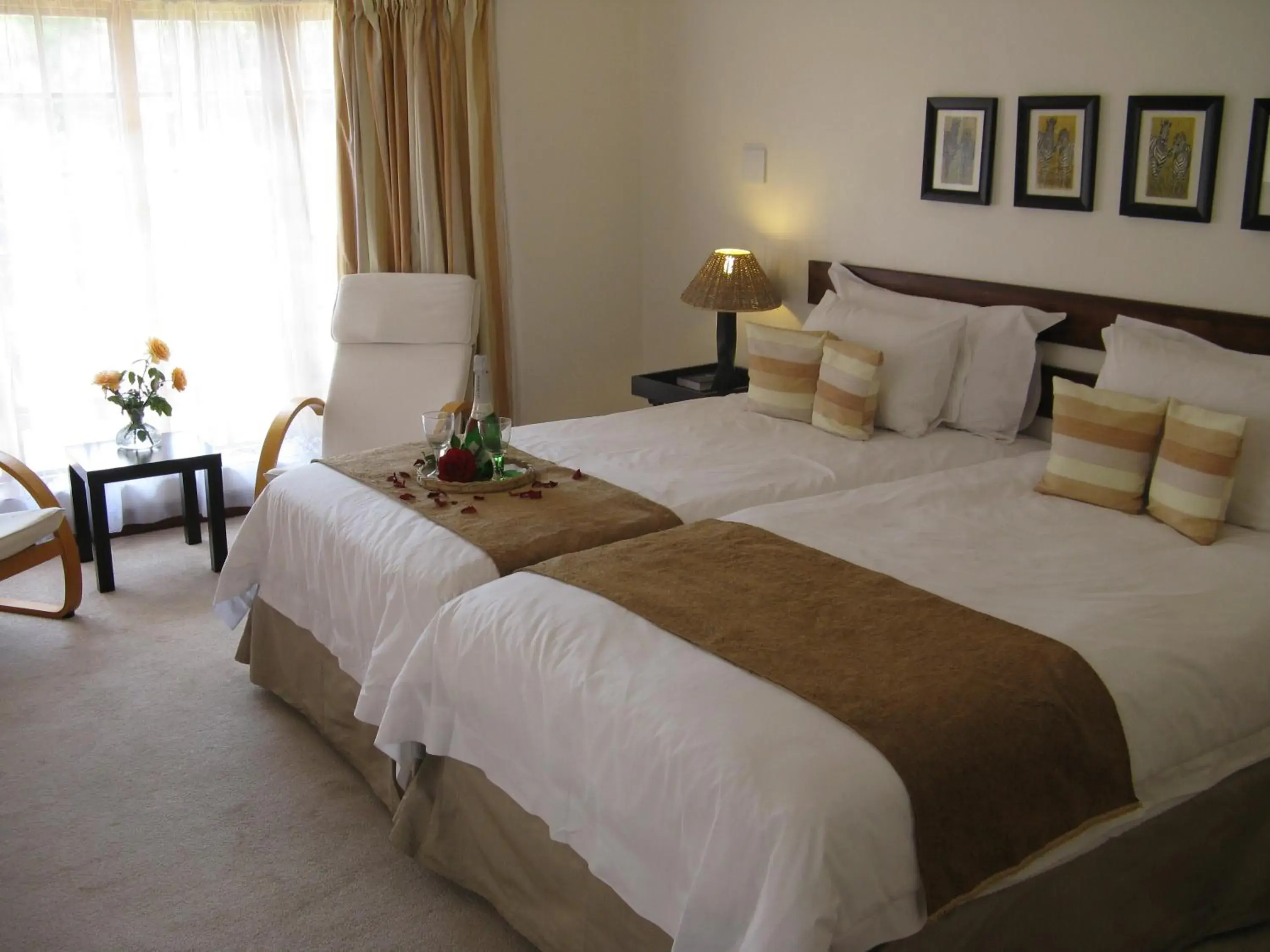 Suite - single occupancy in Touraco Guesthouse Suite - single occupancy in Touraco Guesthouse