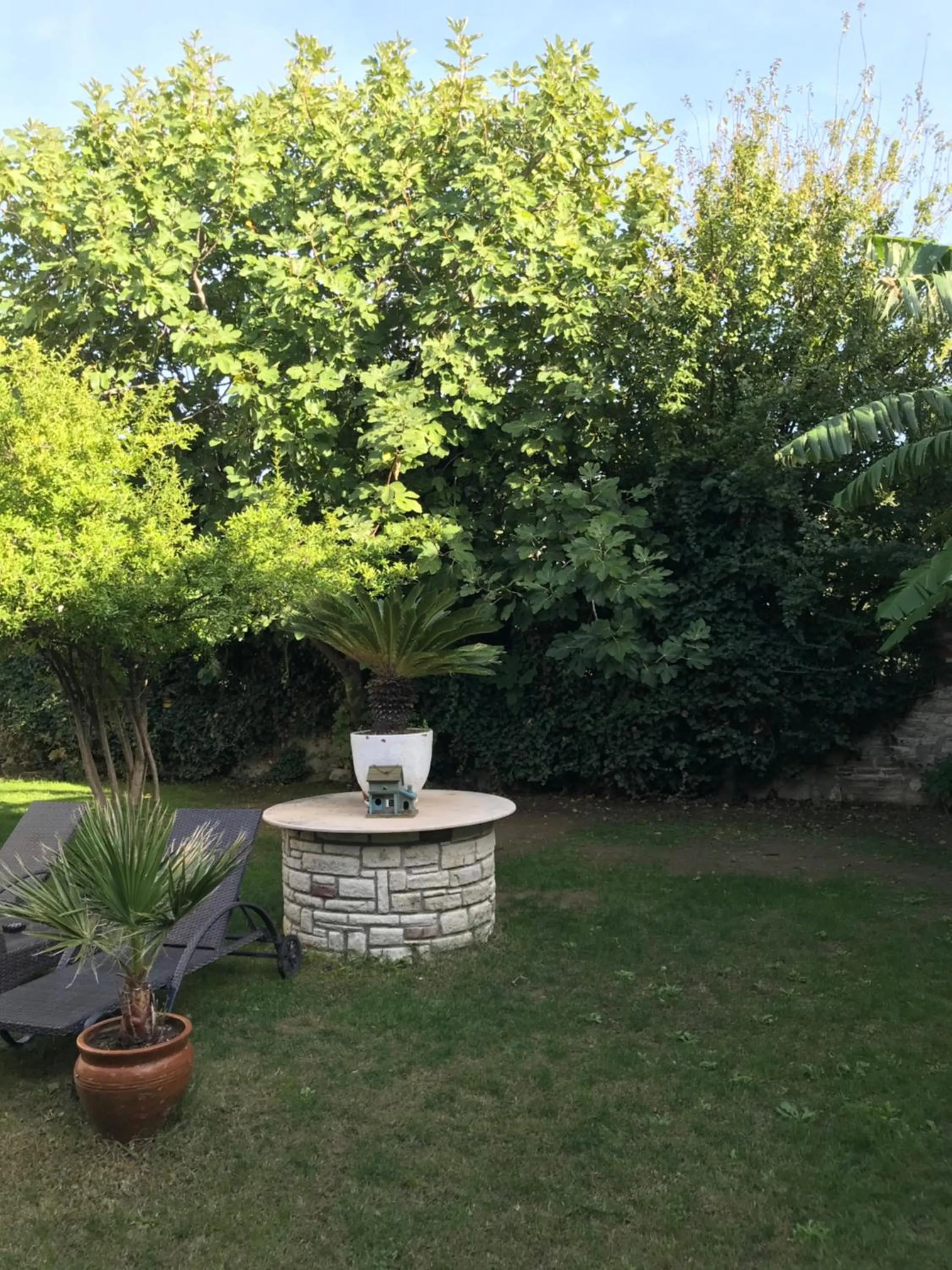 Garden view in Foca Antik Otel