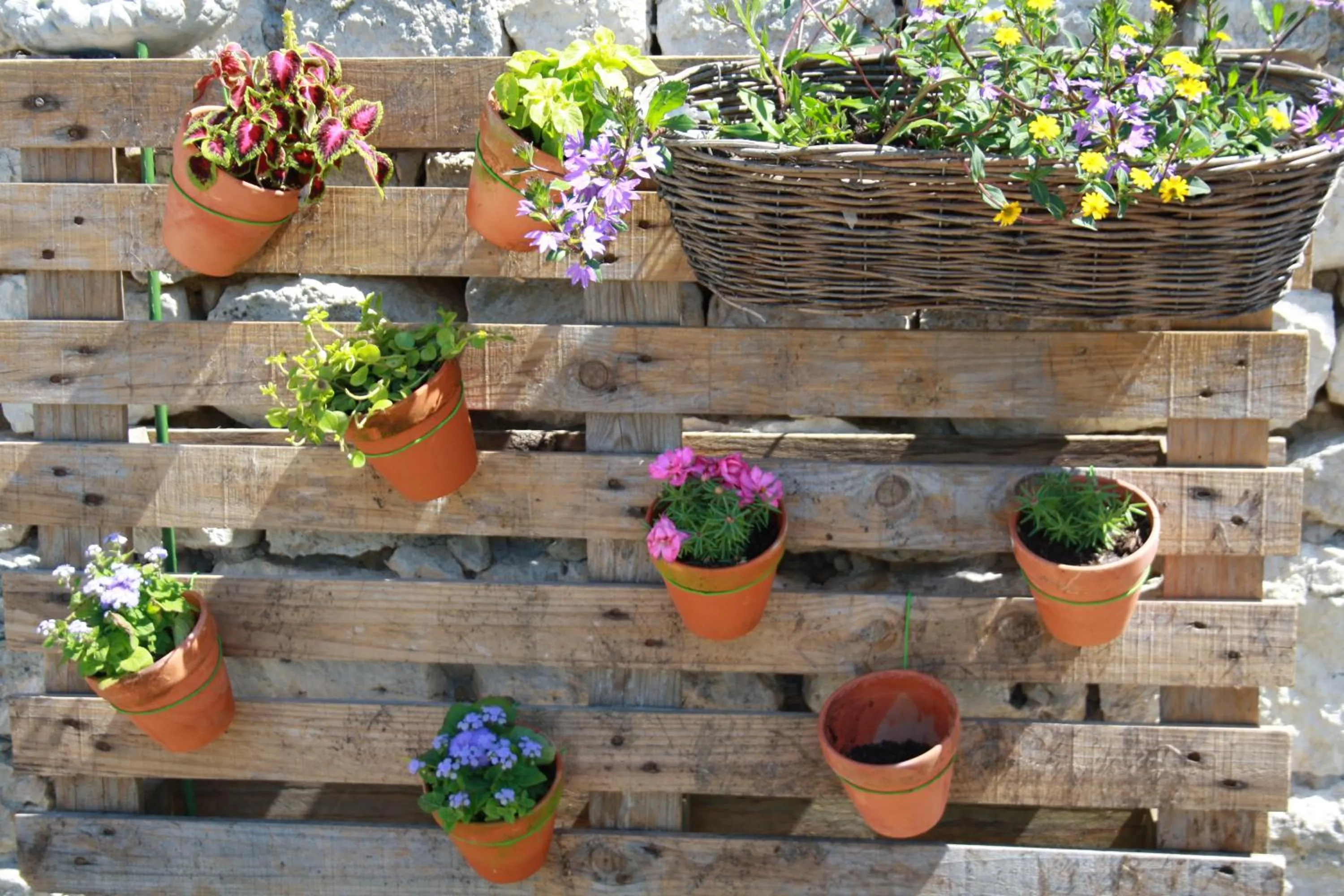 On site in La Perle du Lot