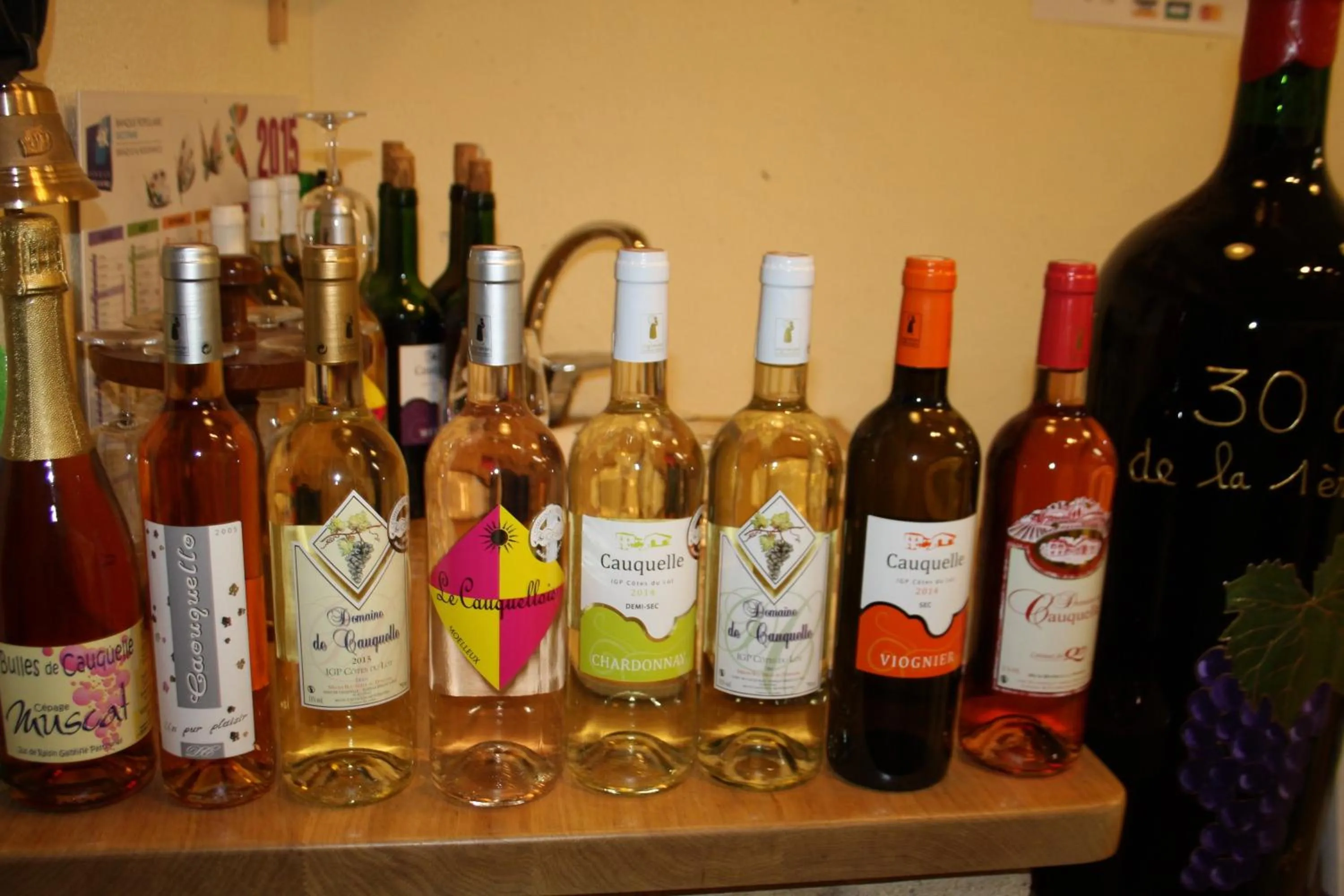 Area and facilities in La Perle du Lot