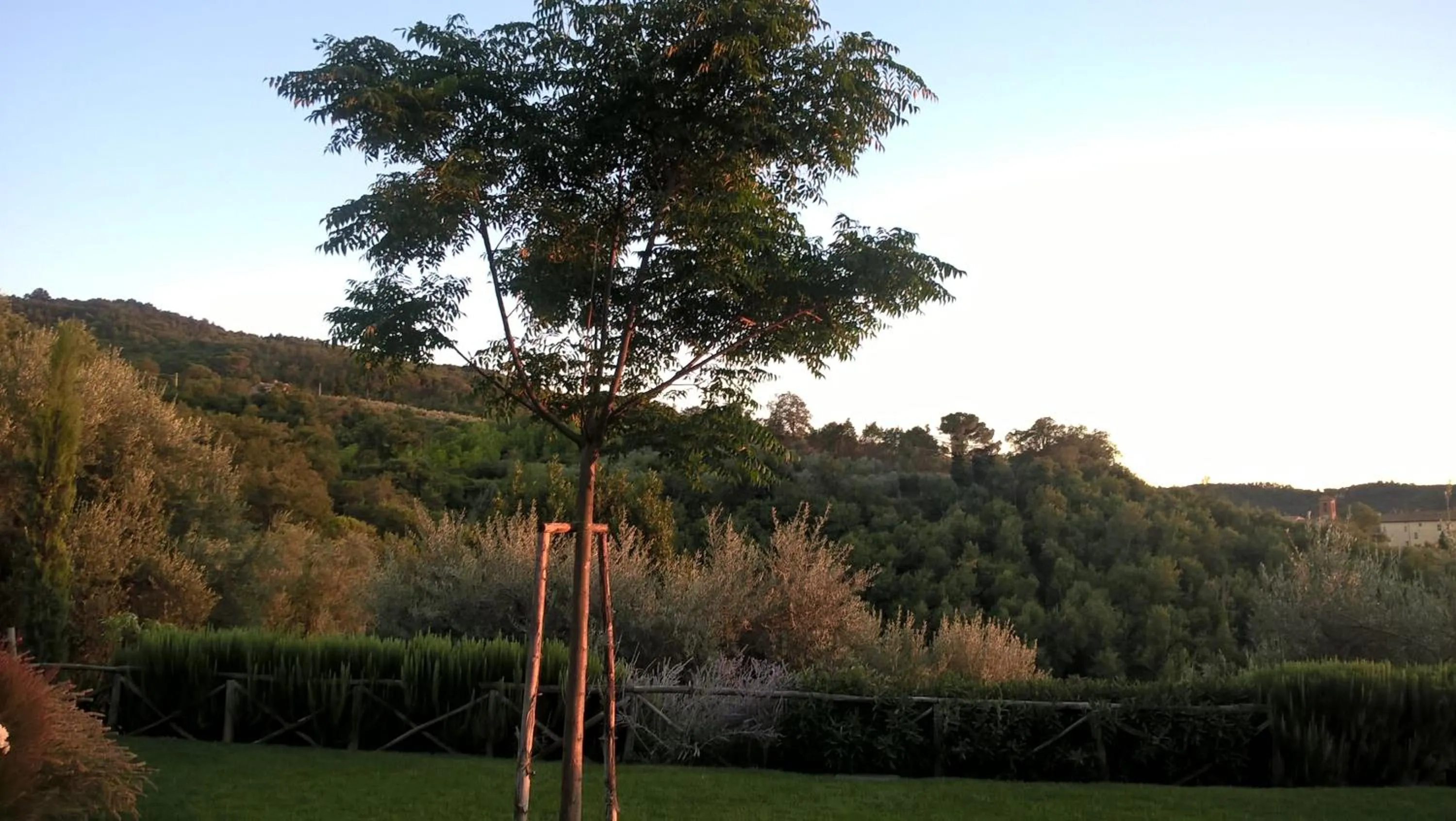 Garden in Piccolo Relais Galletto di Marzo Spa e relax solo per due