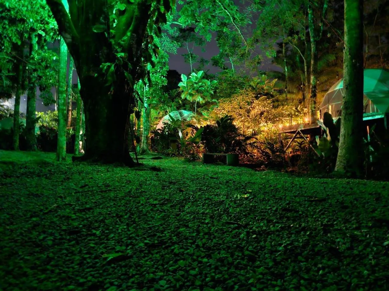 Garden in Palo Alto Glamping Hotel