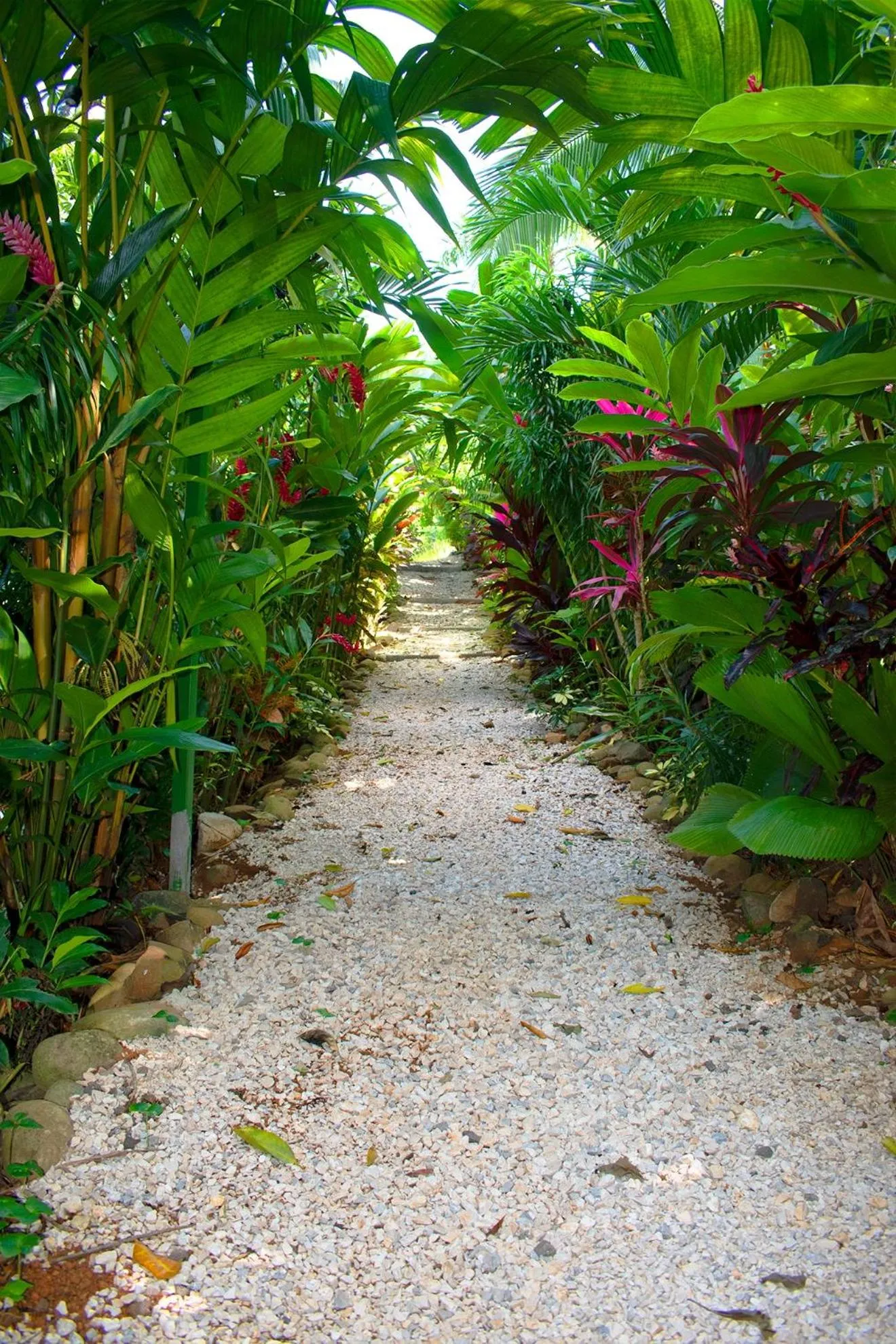 Garden in Palo Alto Glamping Hotel