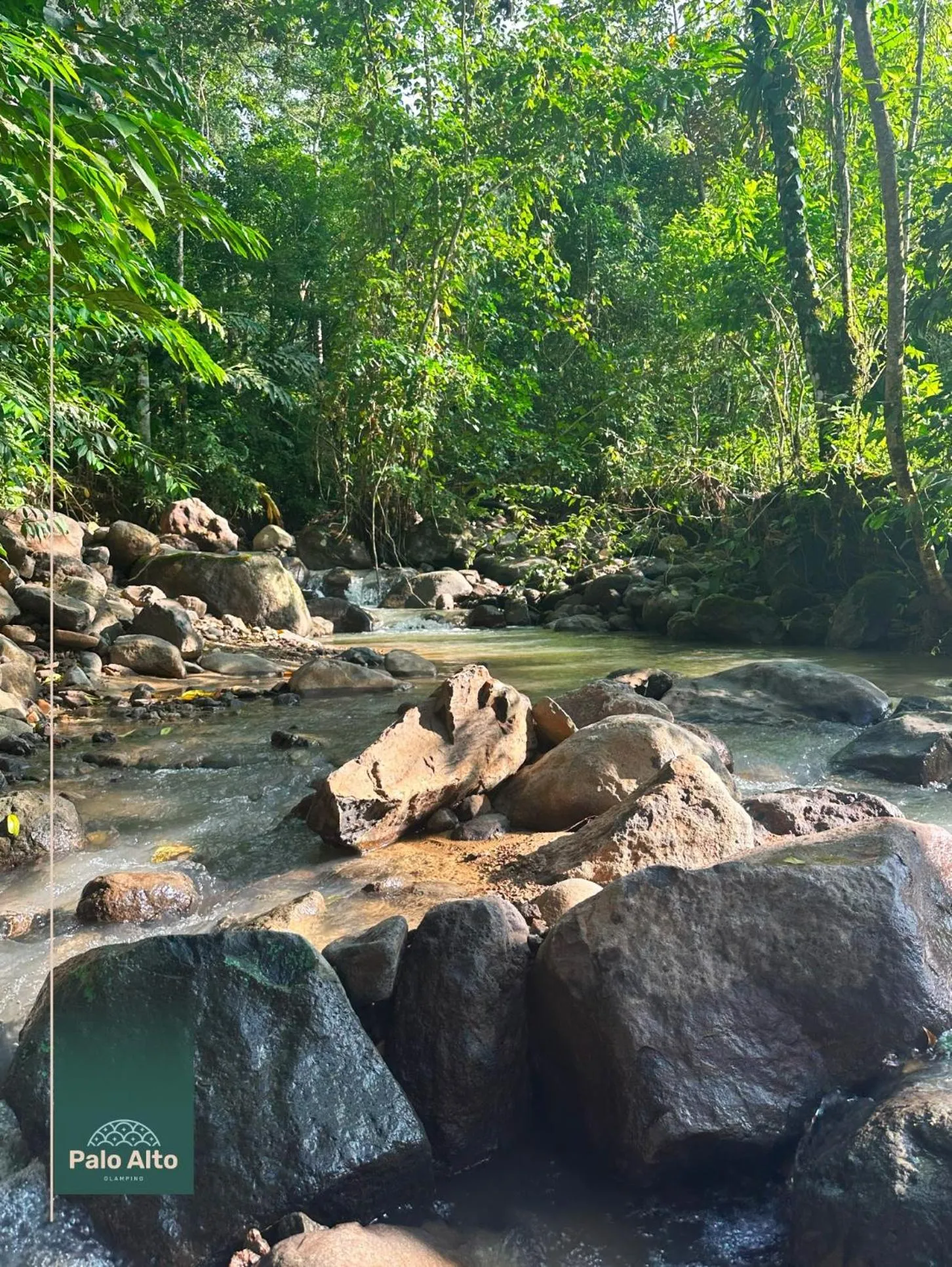 River view in Palo Alto Glamping Hotel