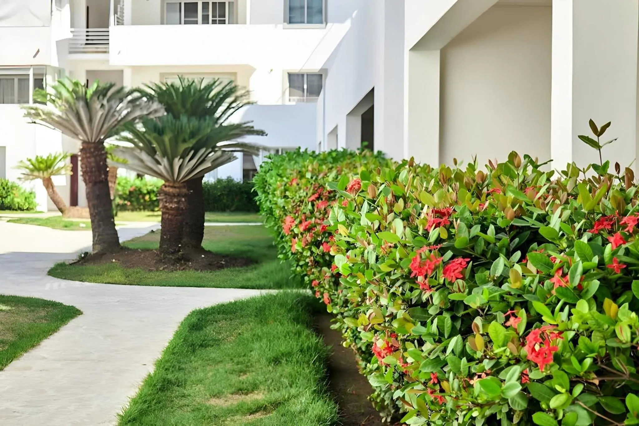 Property building in Los Corales Beach Village Punta Cana - The original