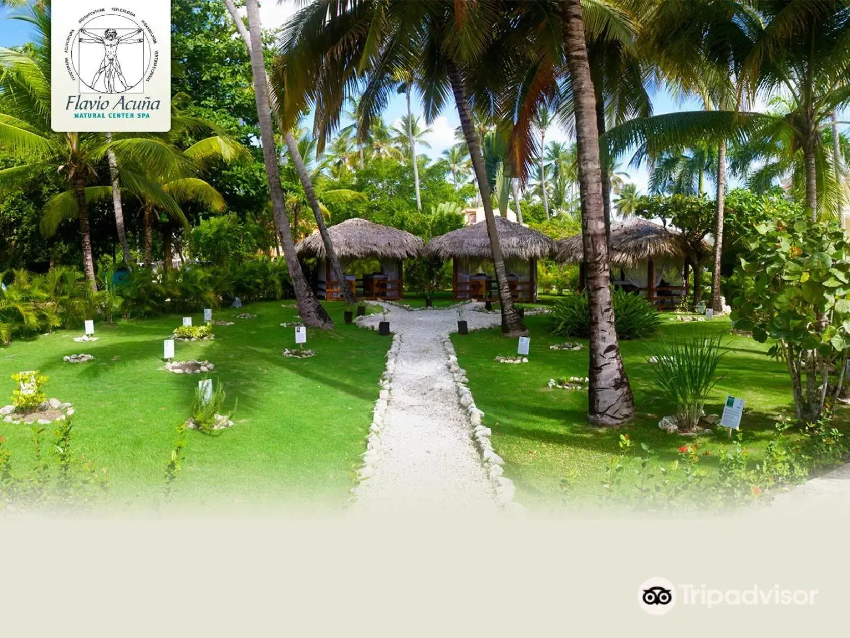 Spa and wellness centre/facilities in Los Corales Beach Village Punta Cana - The original Spa and wellness centre/facilities in Los Corales Beach Village Punta Cana - The original