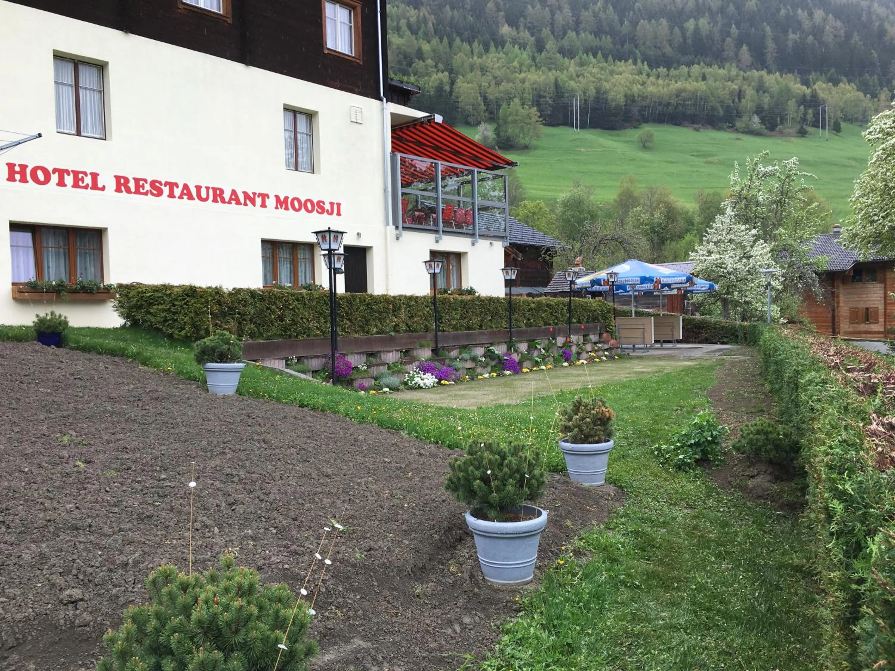 Hotel Haus Mühlebach