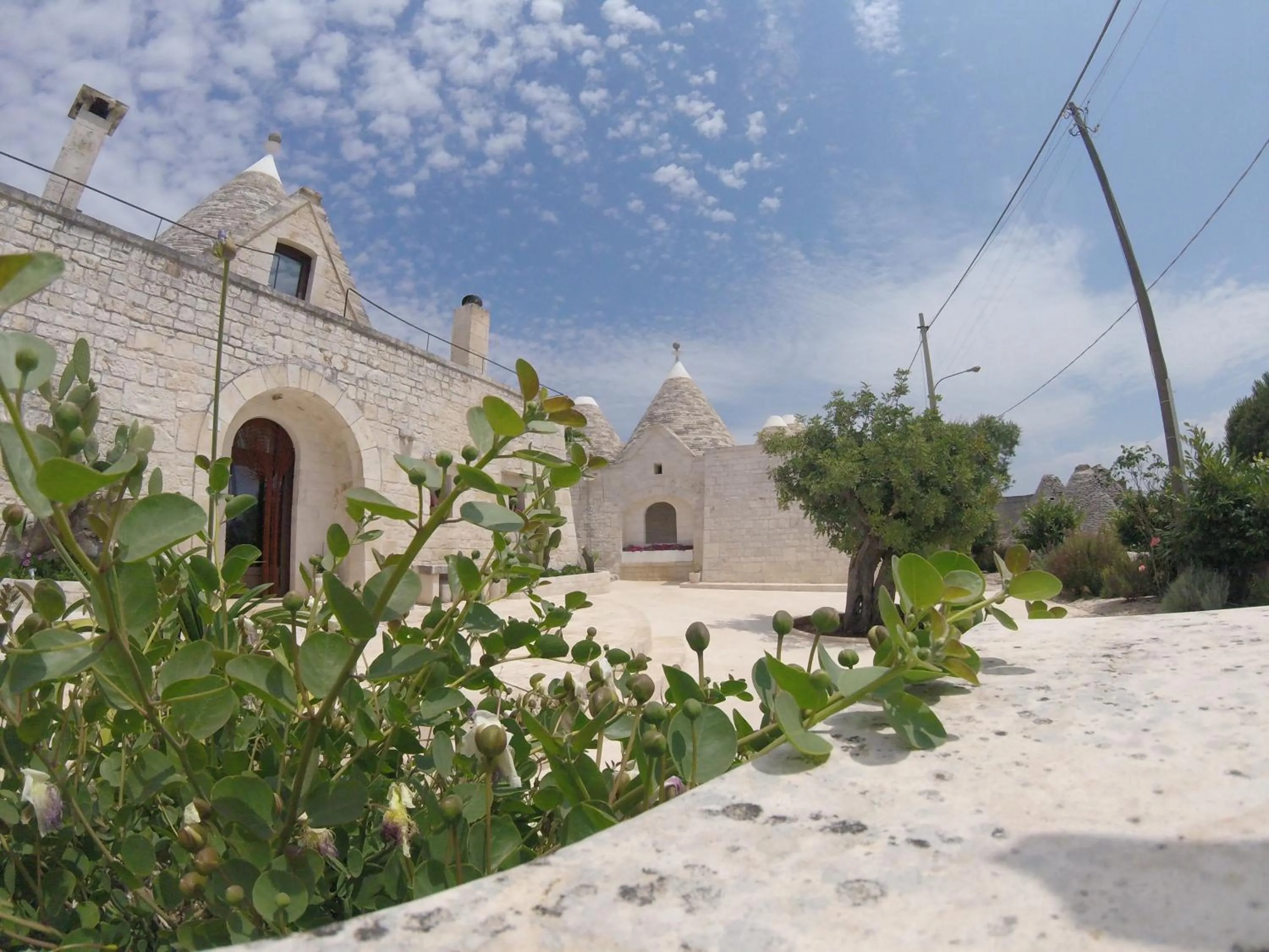 Property building in B&B Via dei Trulli
