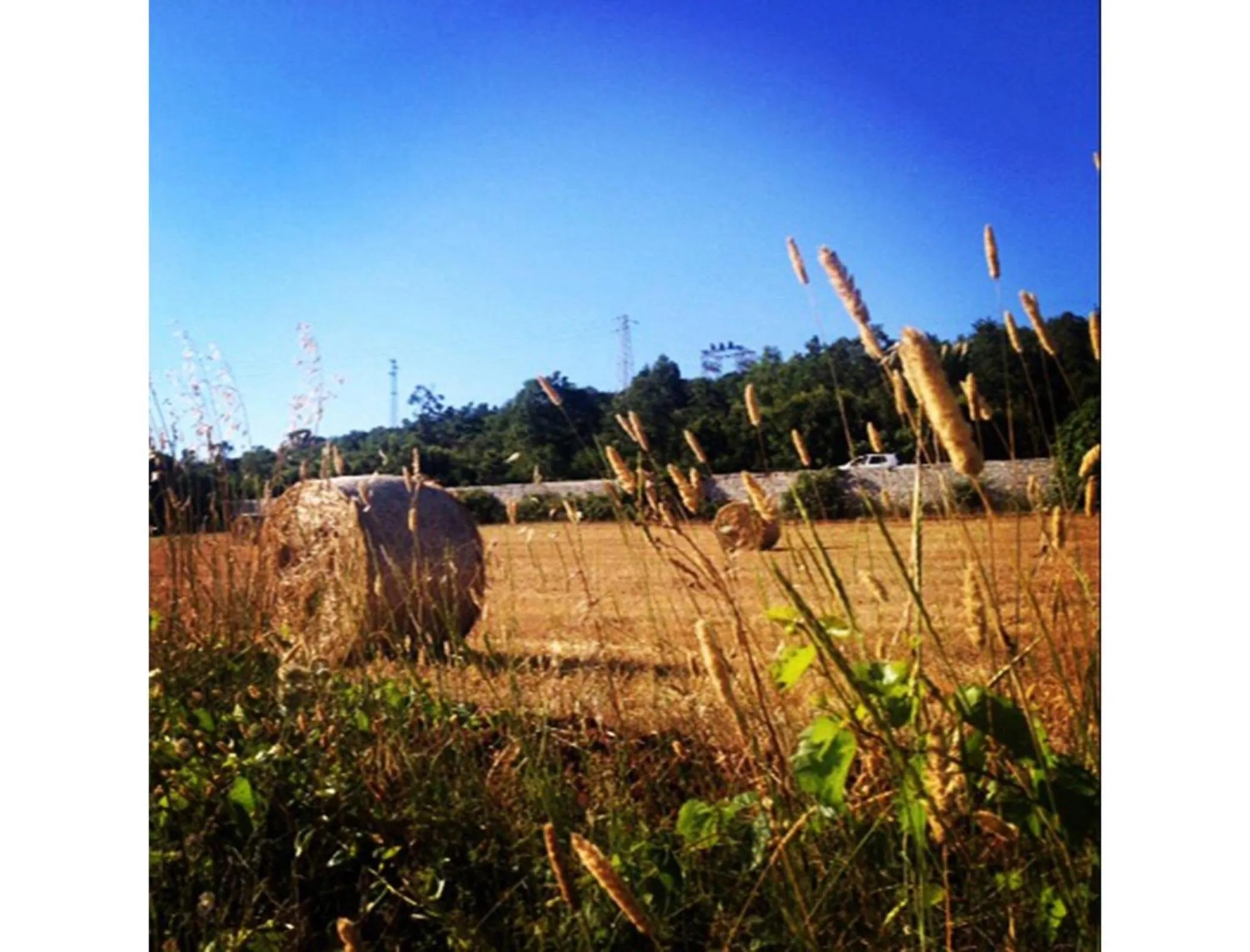 Hiking in B&B Via dei Trulli