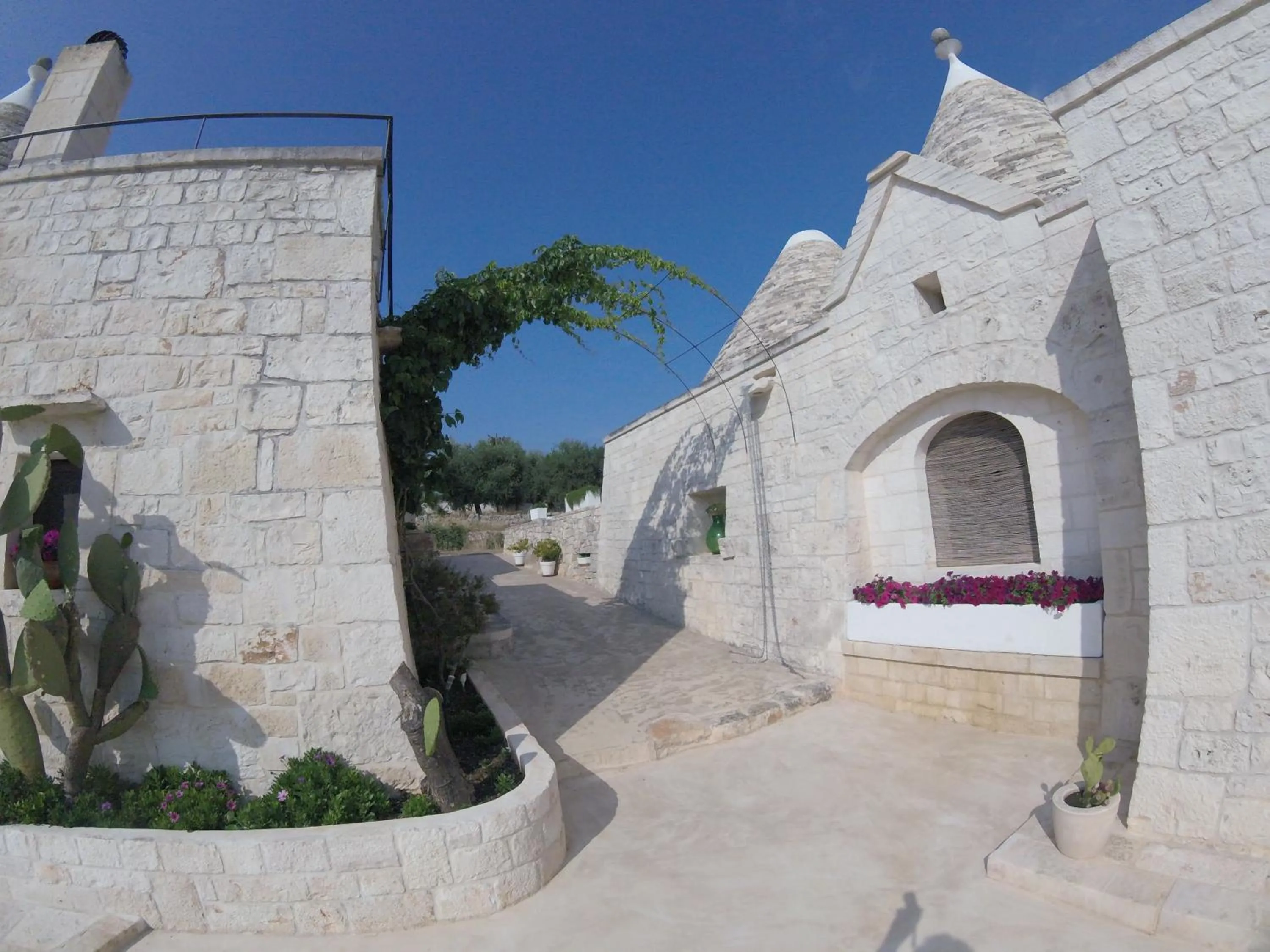 Property building in B&B Via dei Trulli