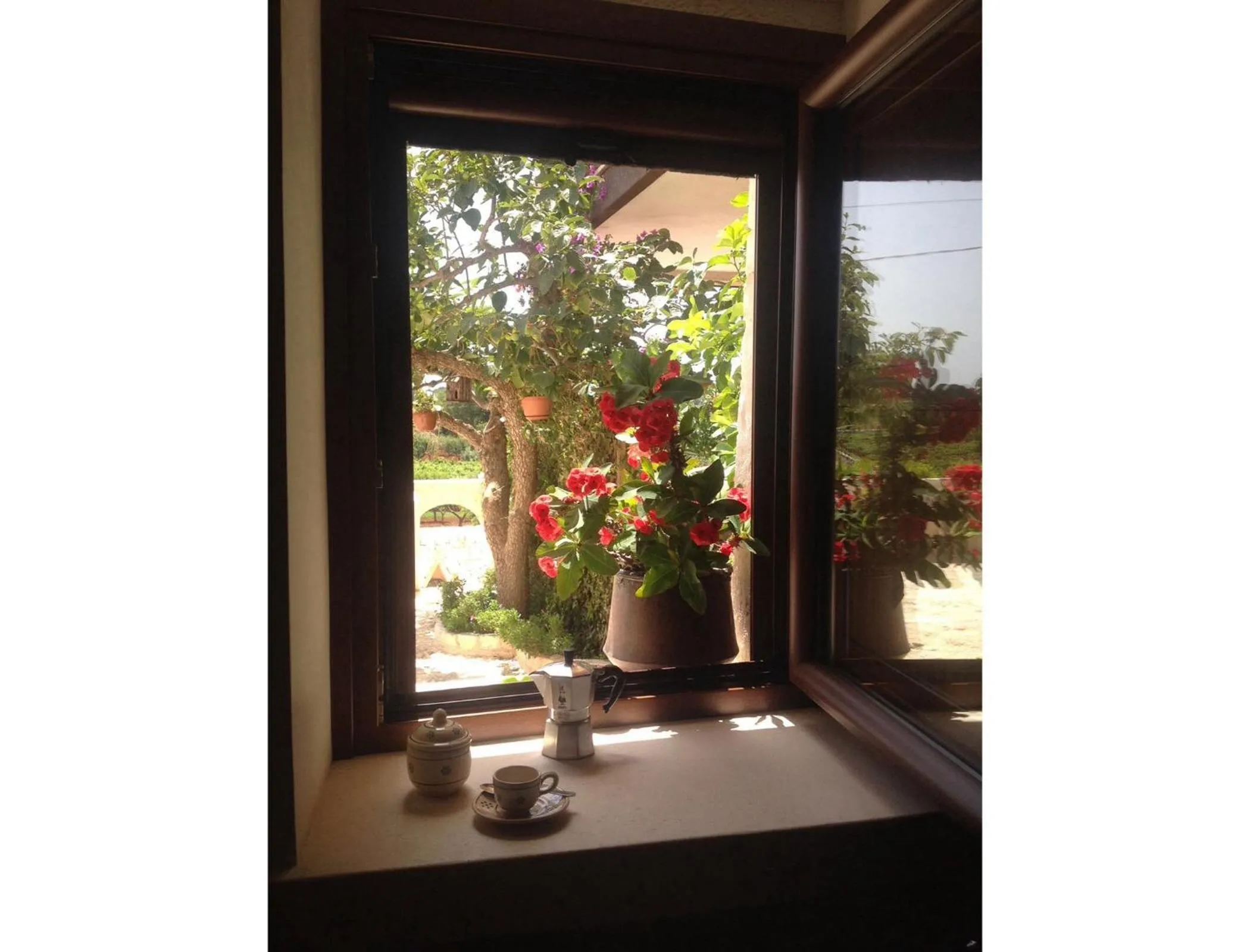 Other in B&B Via dei Trulli