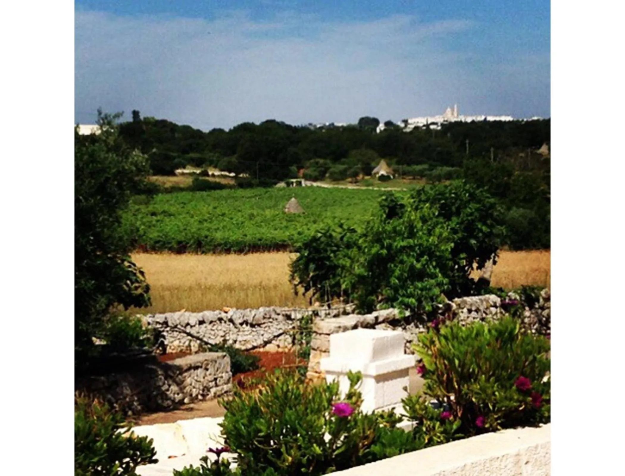 Nearby landmark in B&B Via dei Trulli