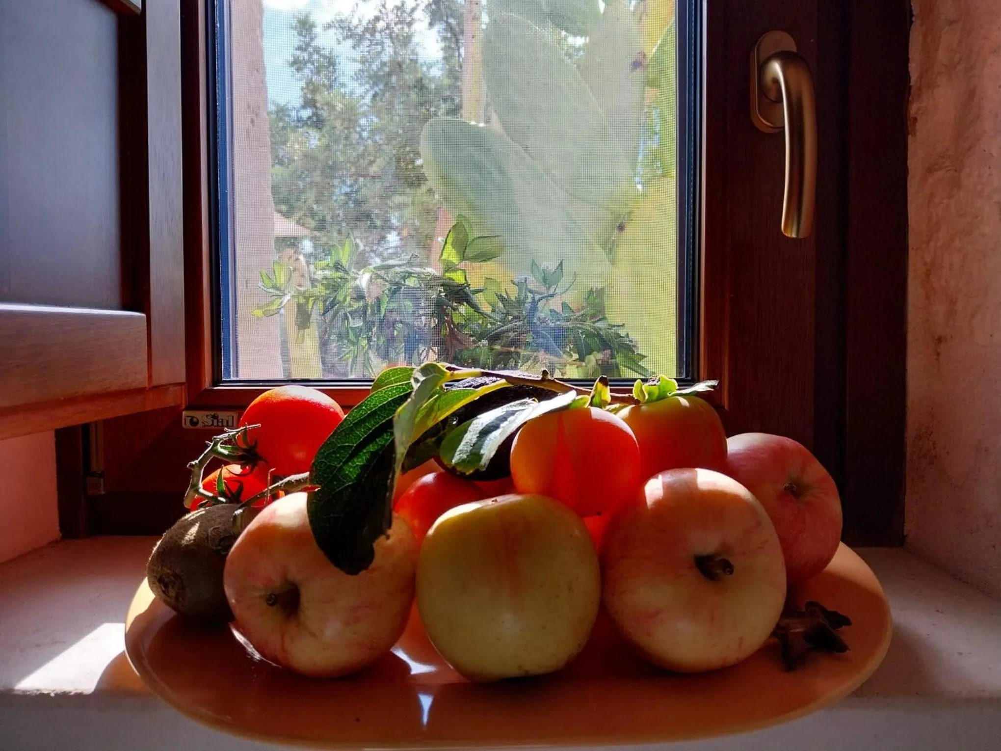 Autumn in B&B Via dei Trulli
