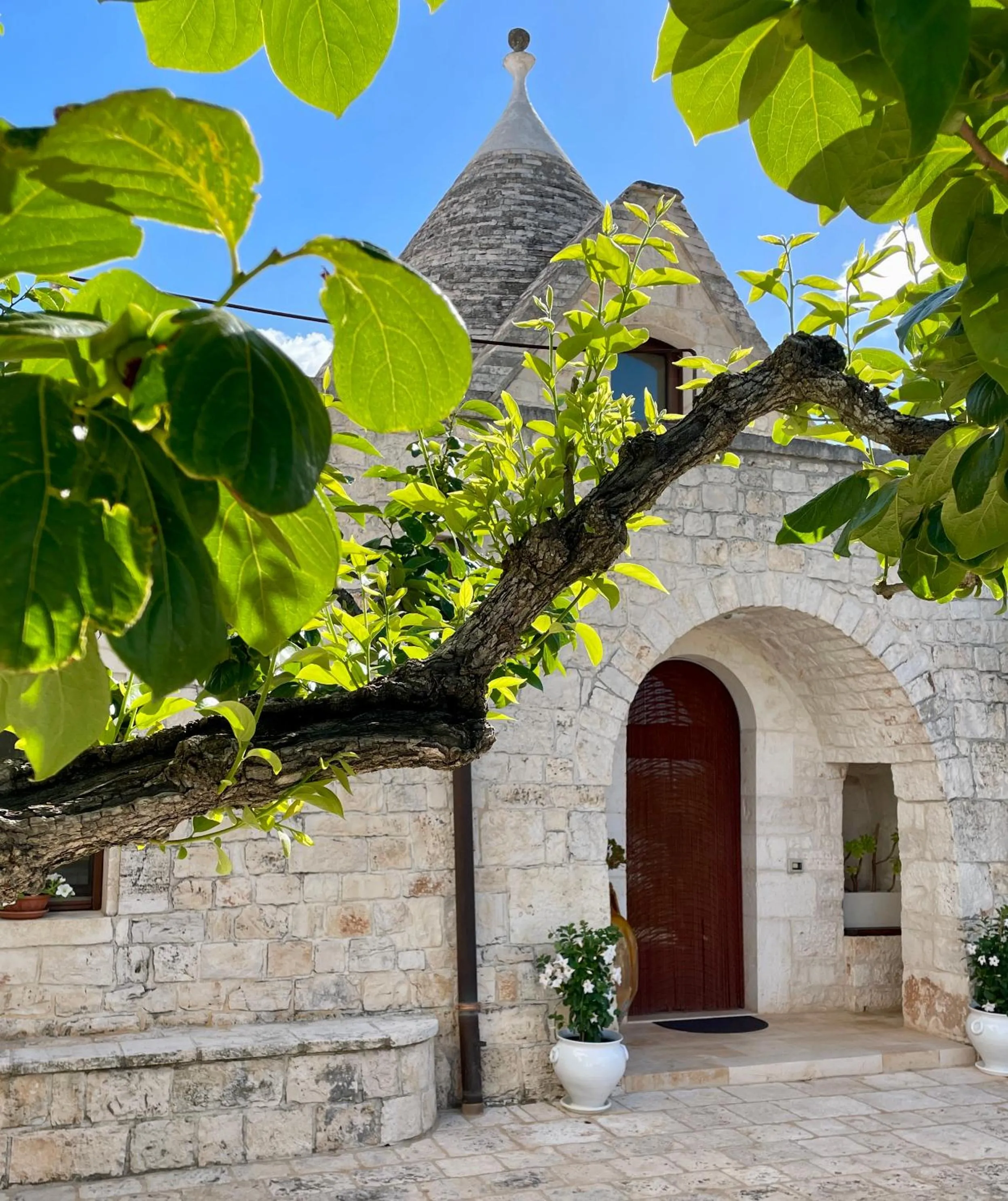 Property building in B&B Via dei Trulli