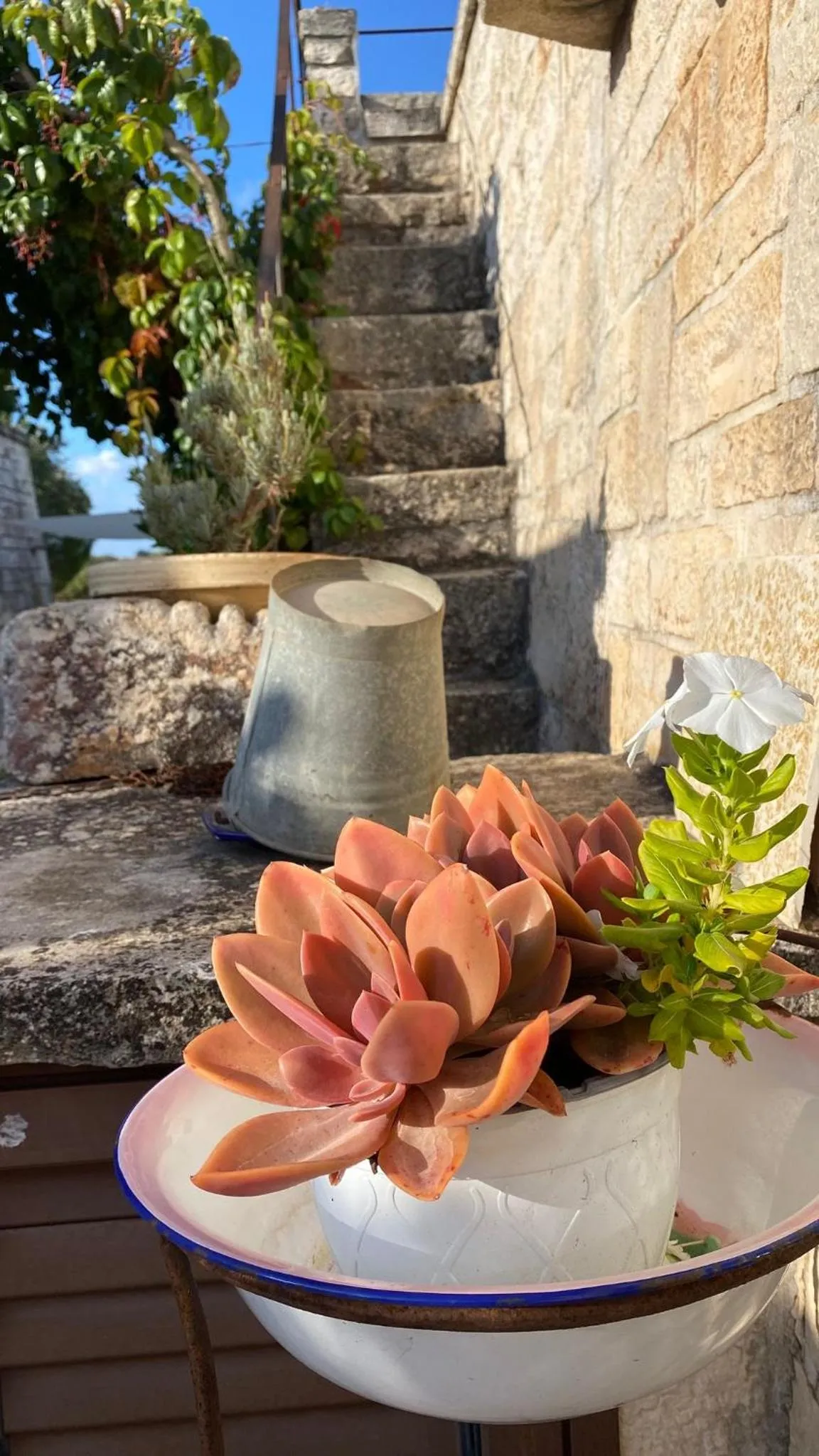 Garden in B&B Via dei Trulli