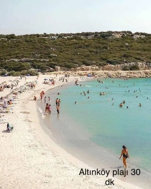 Beach in Hotel Barba