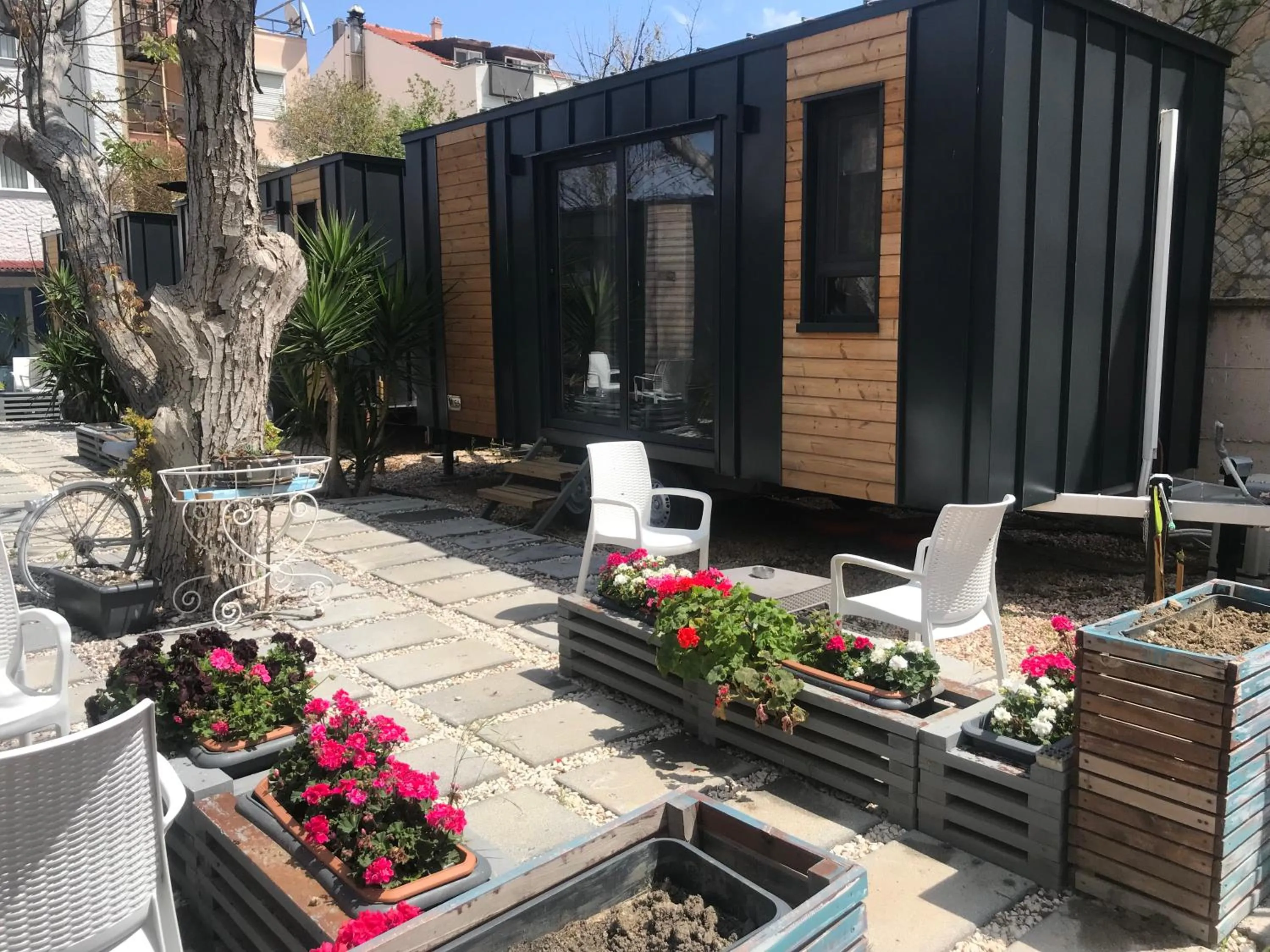 Garden view in Hotel Barba