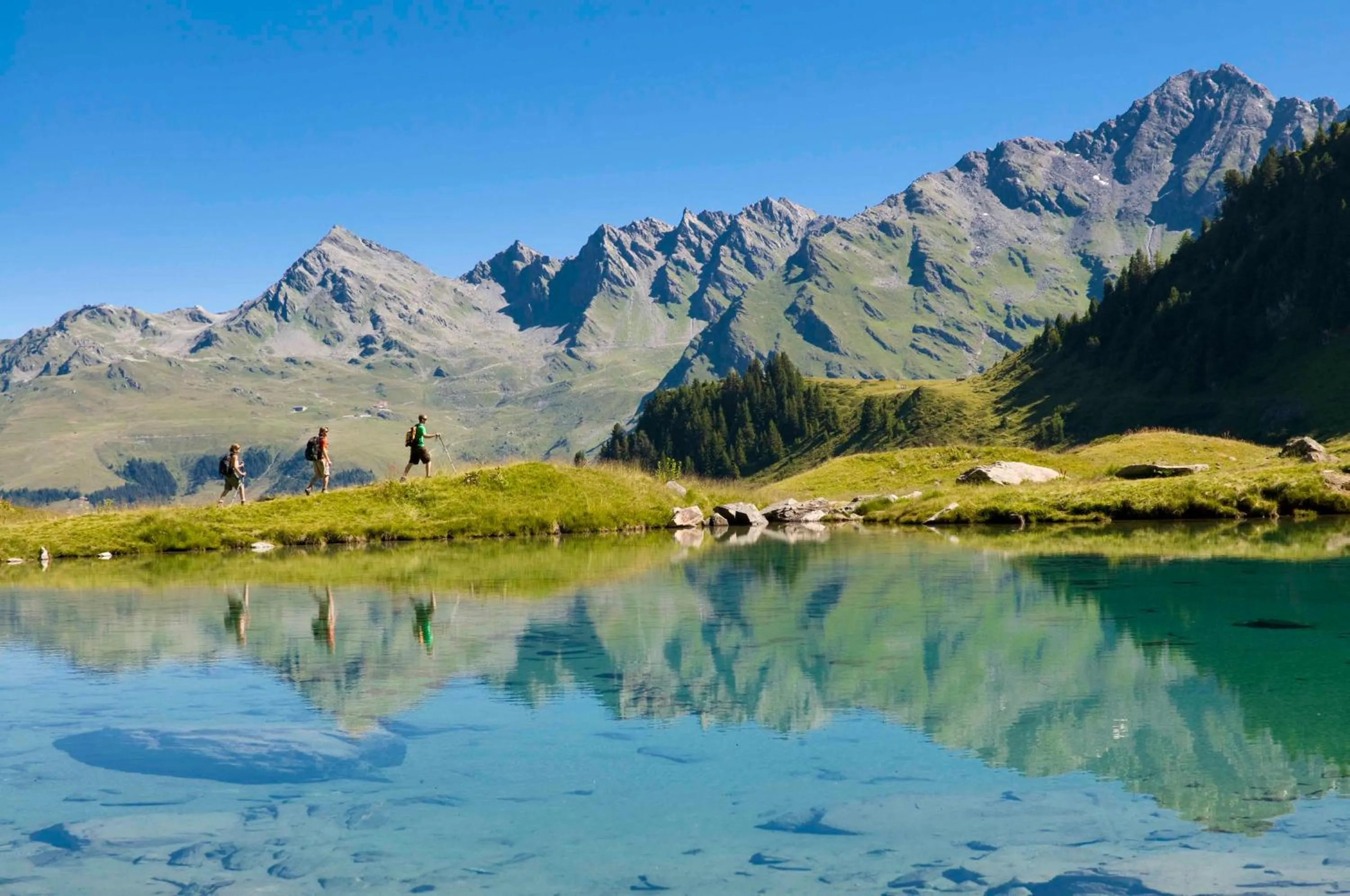 Natural landscape in Hotel Montpelier