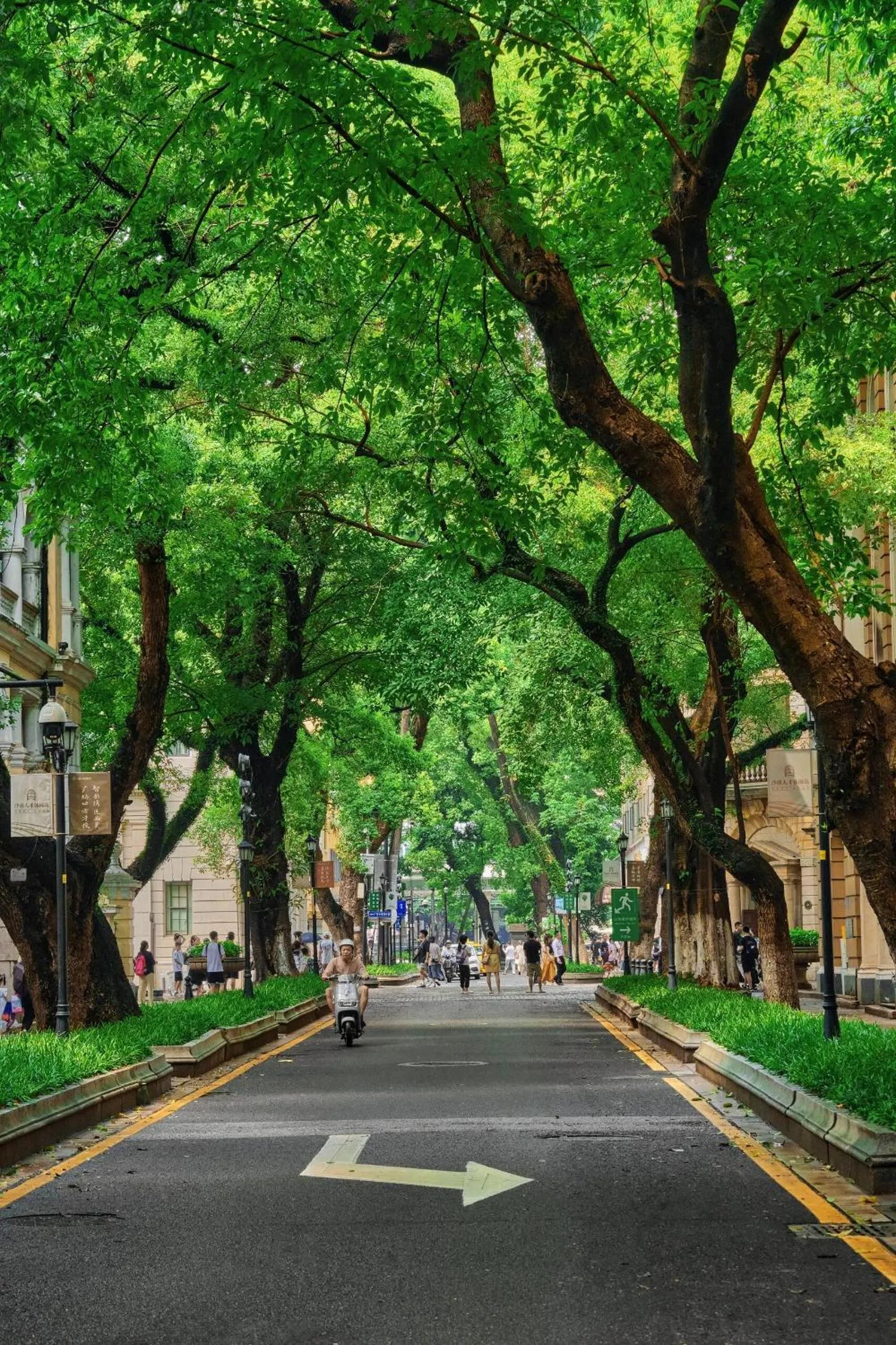 Spring in Yimimi Apartment - Guangzhou 13th Line Yide Road Metro Station